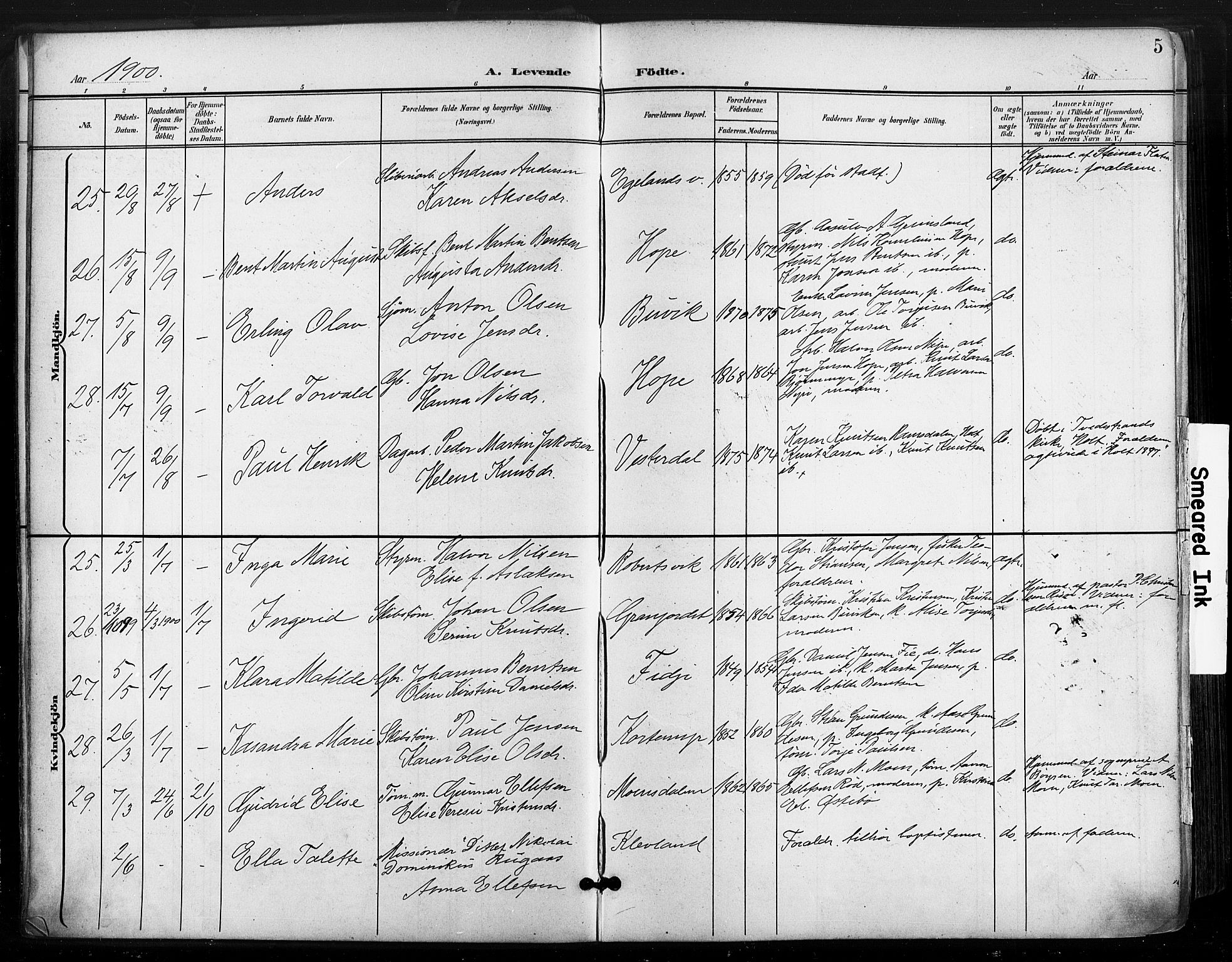 Søndeled sokneprestkontor, AV/SAK-1111-0038/F/Fa/L0006: Parish register (official) no. A 6, 1900-1922, p. 5