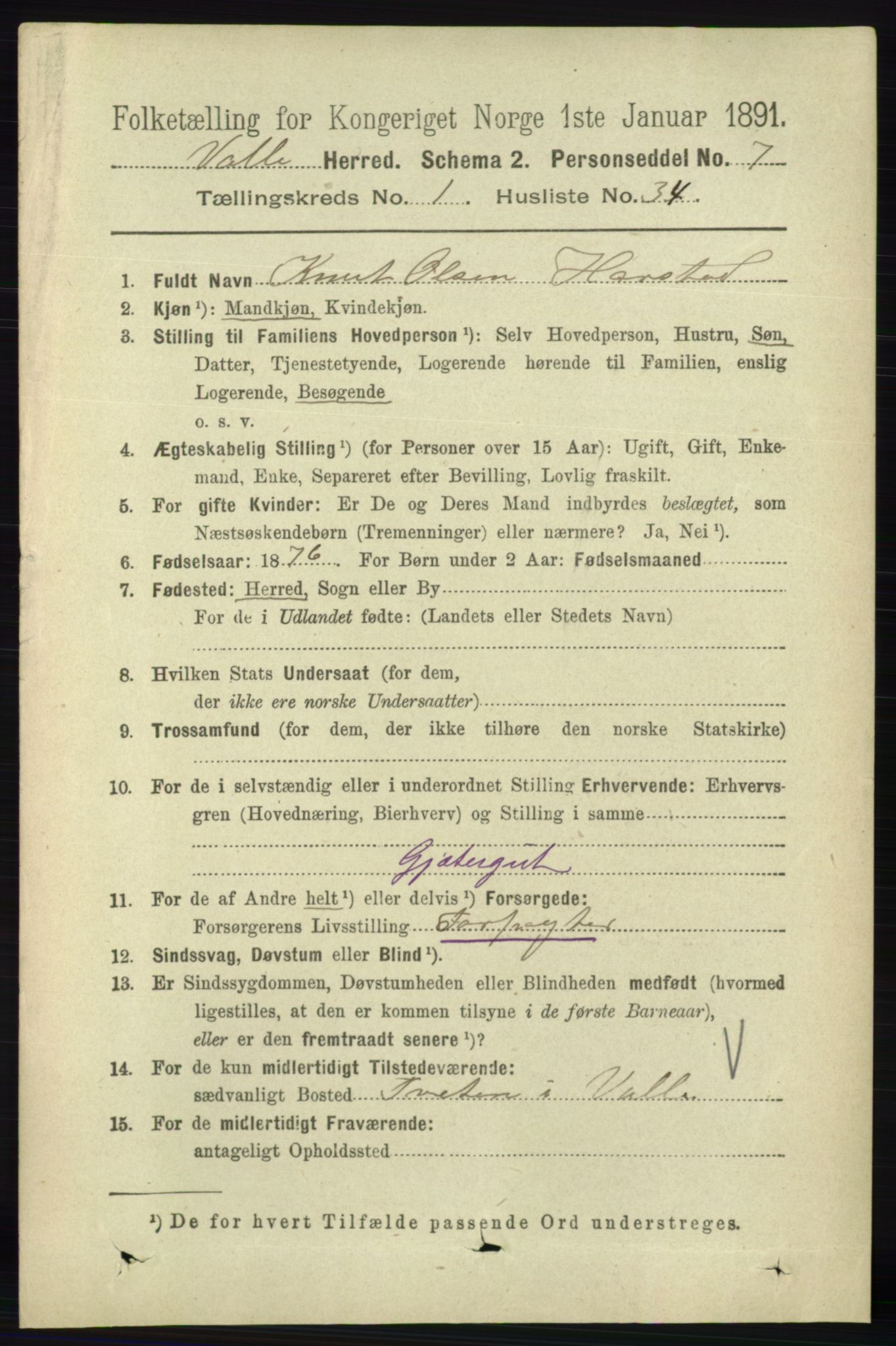 RA, 1891 census for 0940 Valle, 1891, p. 312