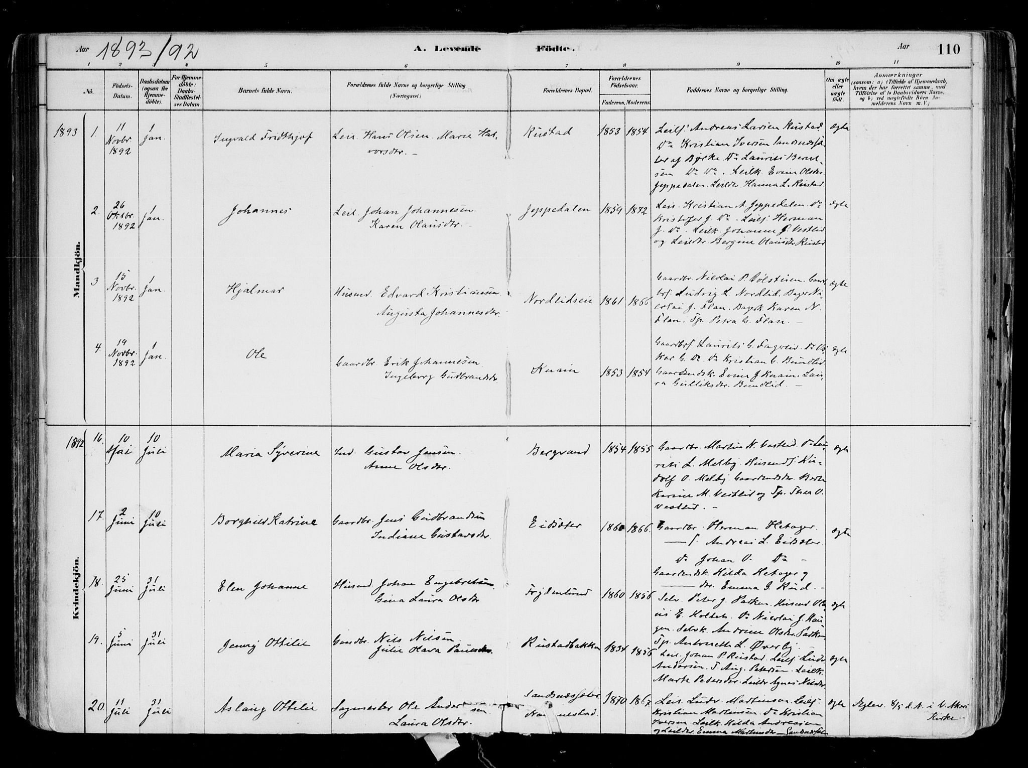 Hurdal prestekontor Kirkebøker, SAO/A-10889/F/Fa/L0007: Parish register (official) no. I 7, 1878-1906, p. 110