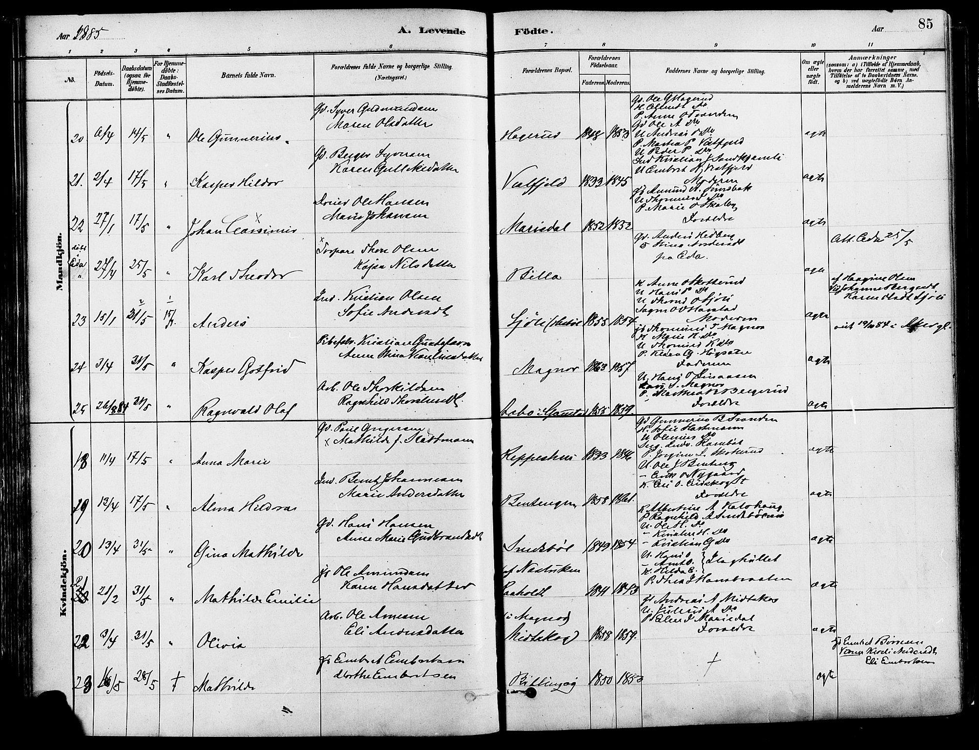 Eidskog prestekontor, AV/SAH-PREST-026/H/Ha/Haa/L0003: Parish register (official) no. 3, 1879-1892, p. 85