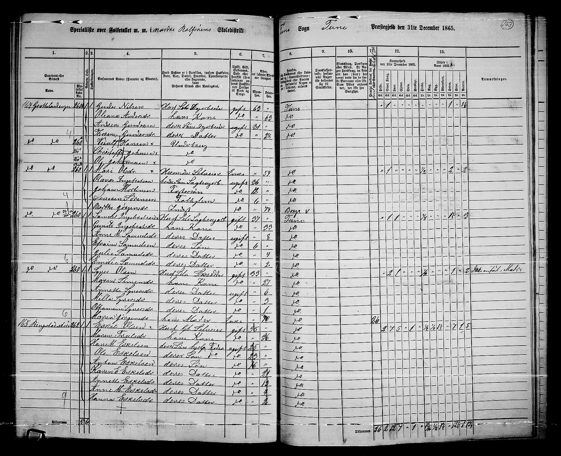 RA, 1865 census for Tune, 1865, p. 242