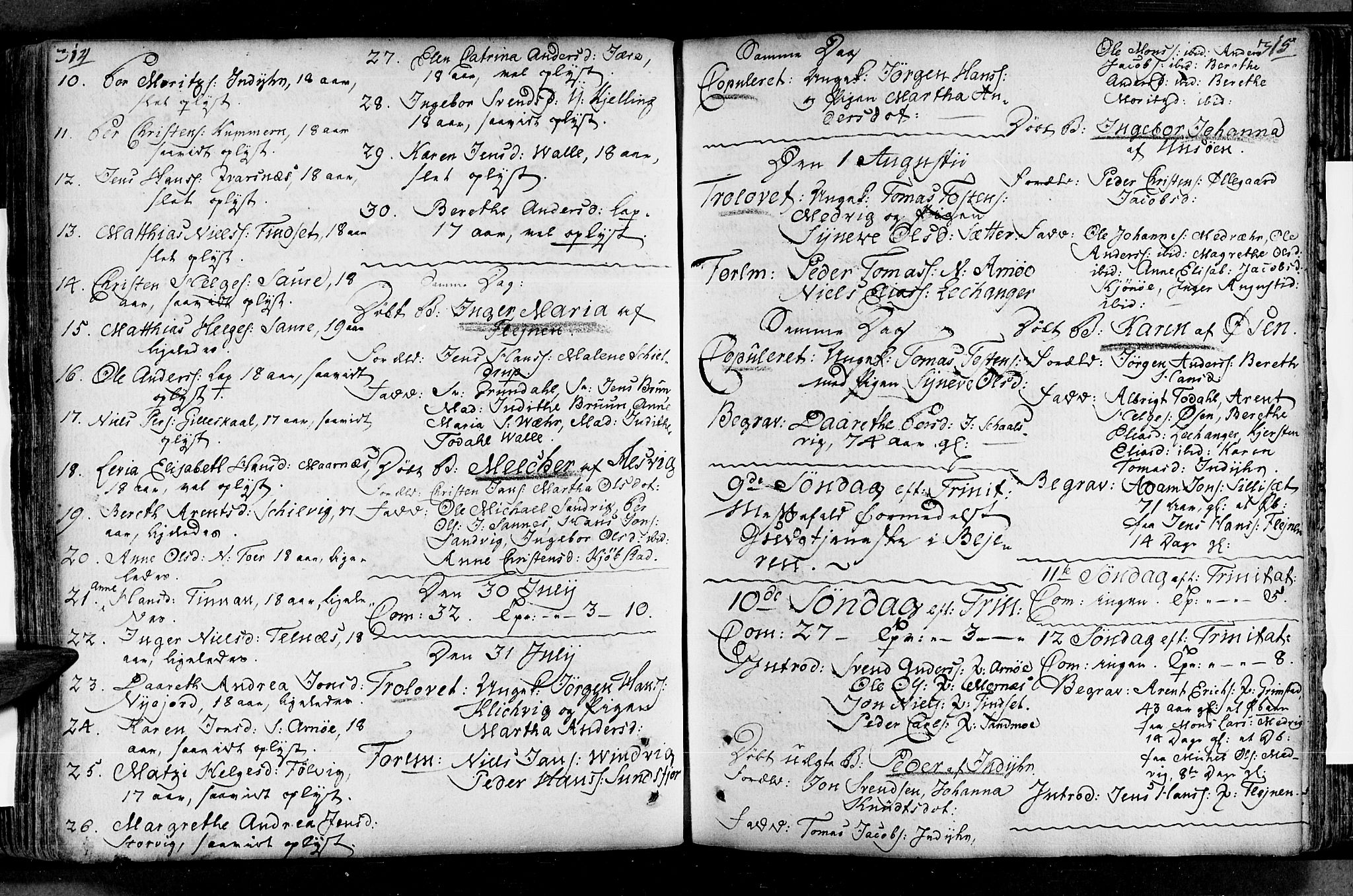Ministerialprotokoller, klokkerbøker og fødselsregistre - Nordland, AV/SAT-A-1459/805/L0094: Parish register (official) no. 805A01, 1773-1804, p. 314-315