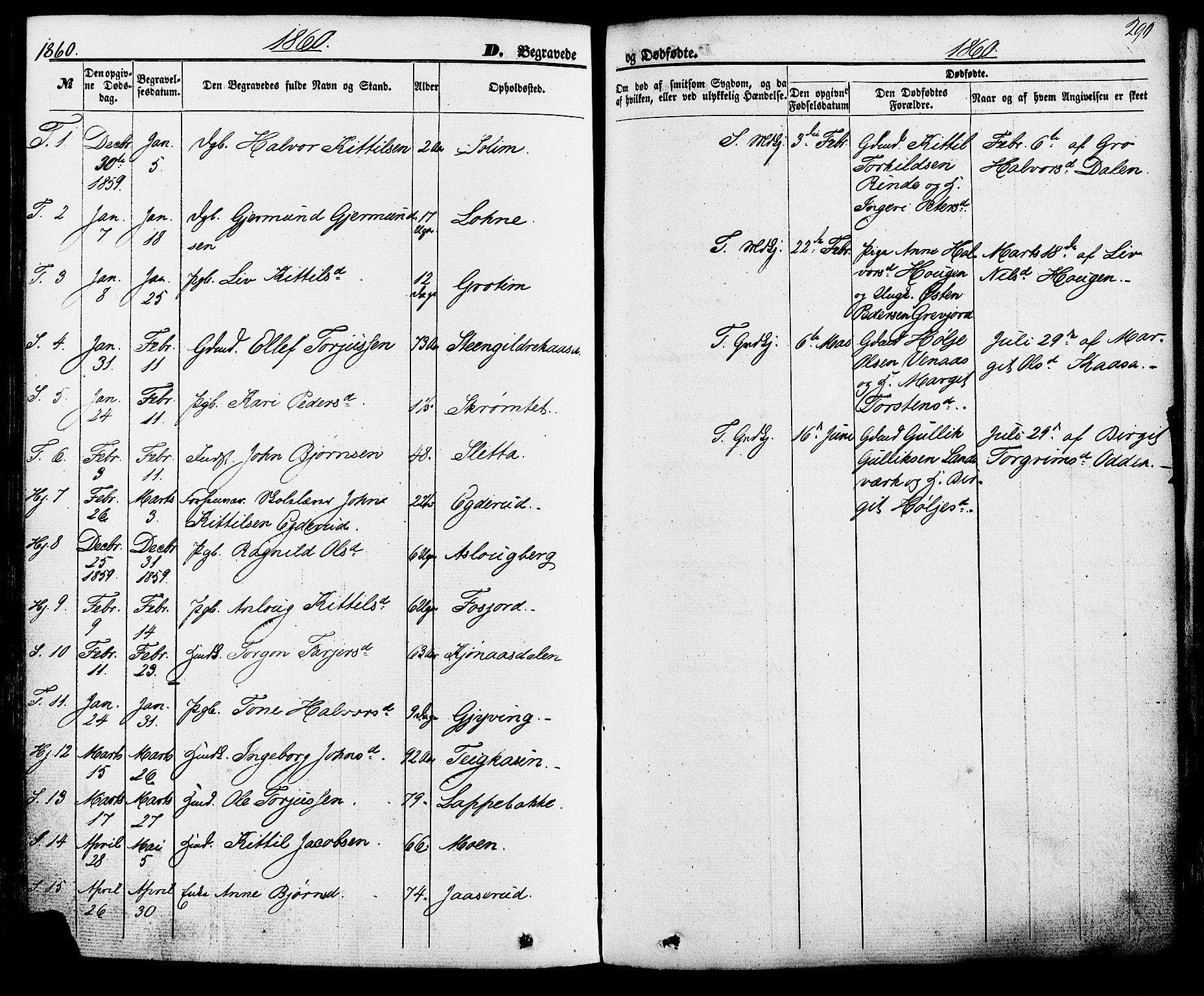 Hjartdal kirkebøker, SAKO/A-270/F/Fa/L0009: Parish register (official) no. I 9, 1860-1879, p. 290