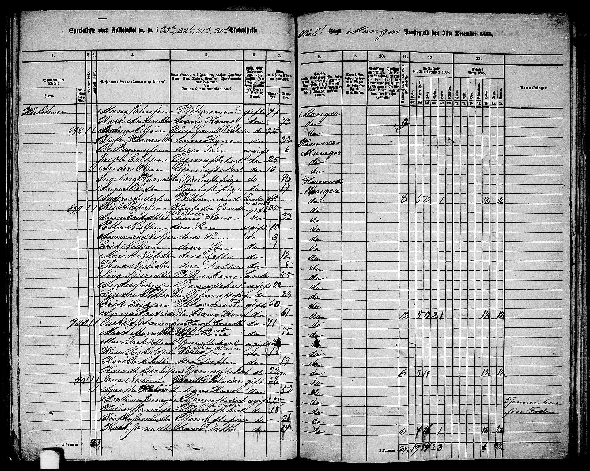 RA, 1865 census for Manger, 1865, p. 206