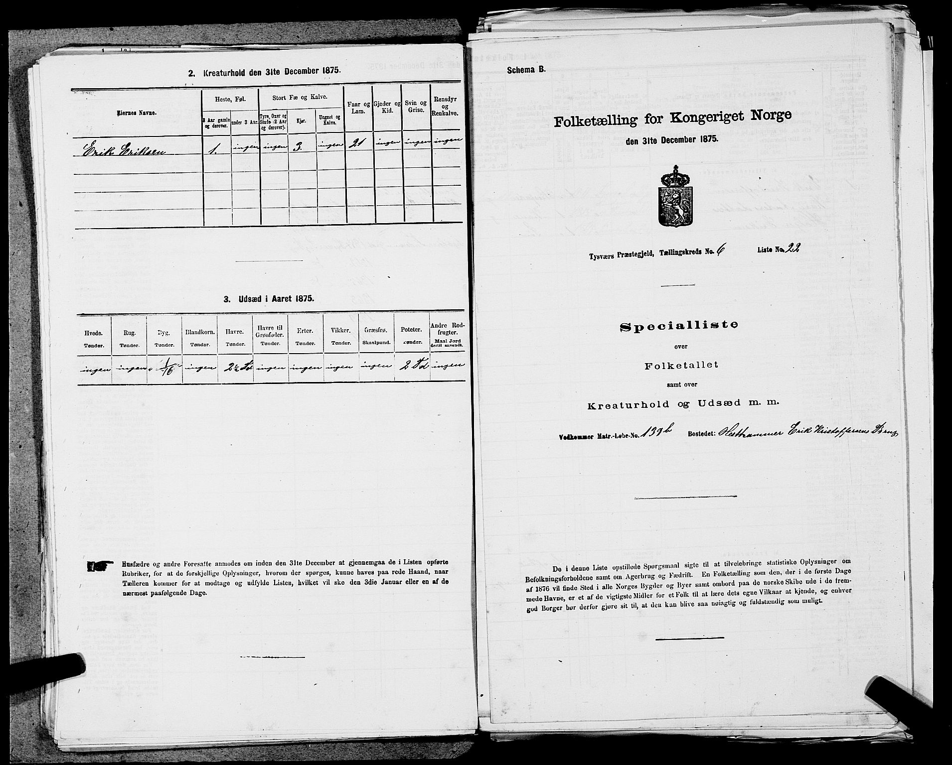 SAST, 1875 census for 1146P Tysvær, 1875, p. 694