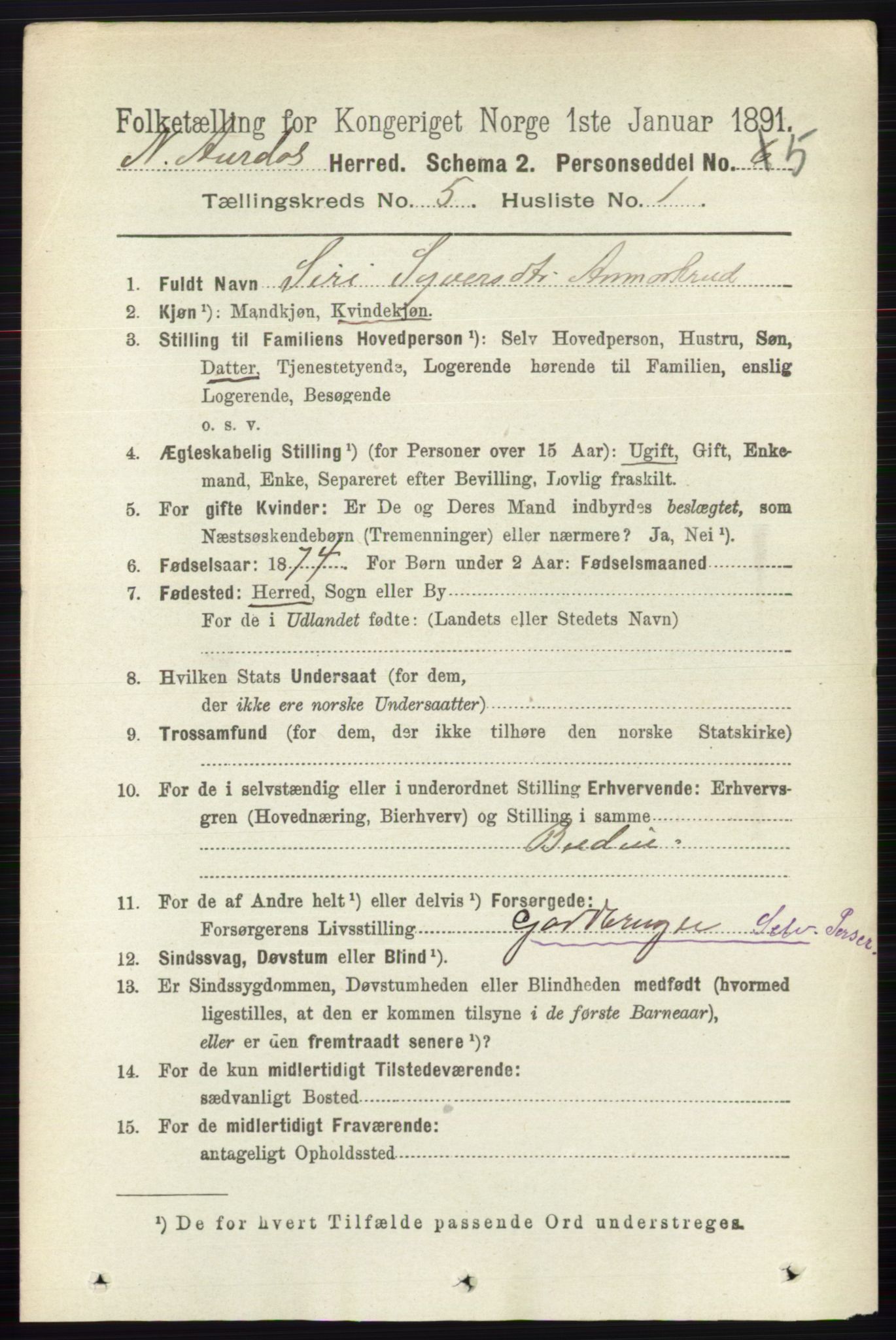 RA, 1891 census for 0542 Nord-Aurdal, 1891, p. 1355