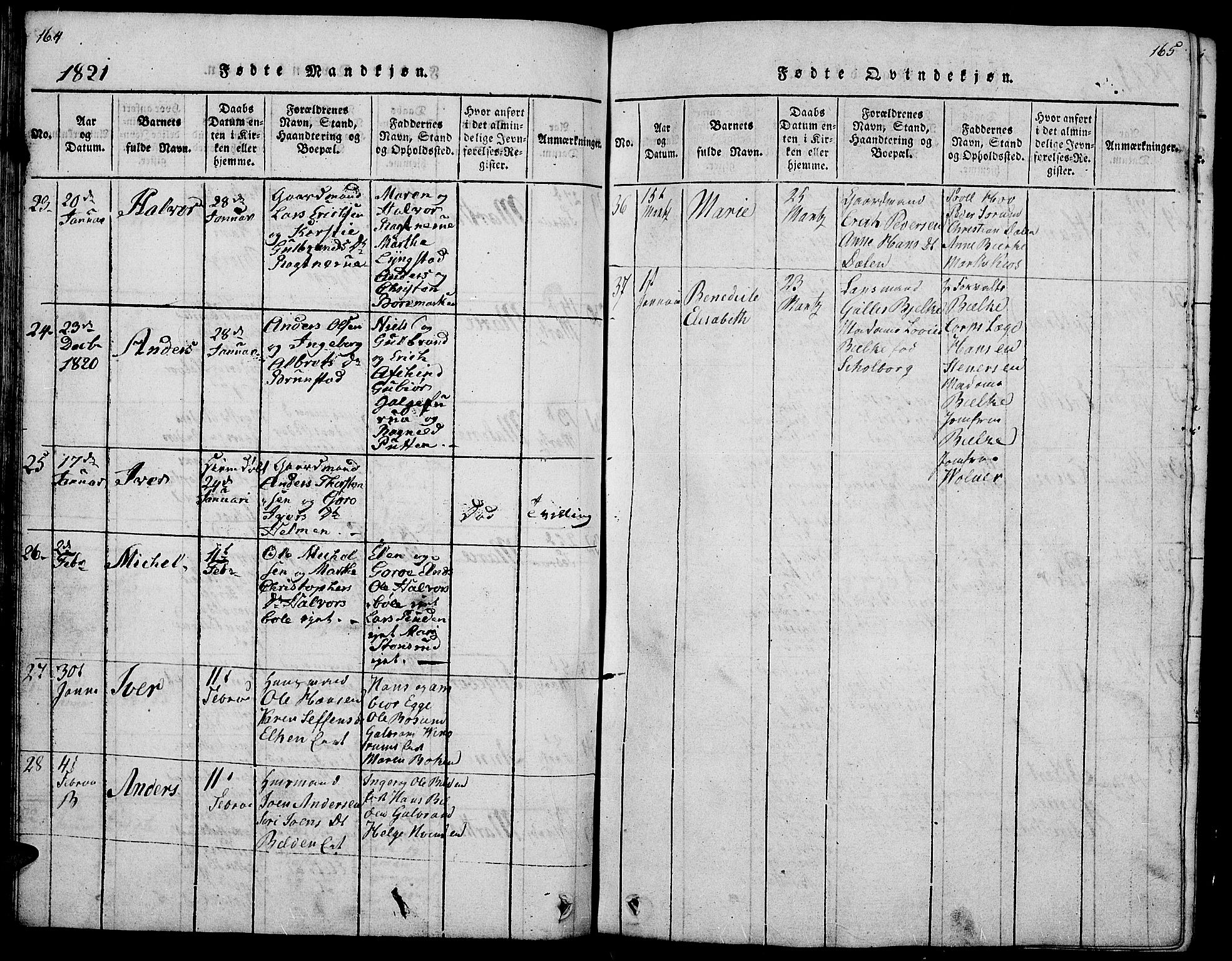 Gran prestekontor, SAH/PREST-112/H/Ha/Hab/L0001: Parish register (copy) no. 1, 1815-1824, p. 164-165