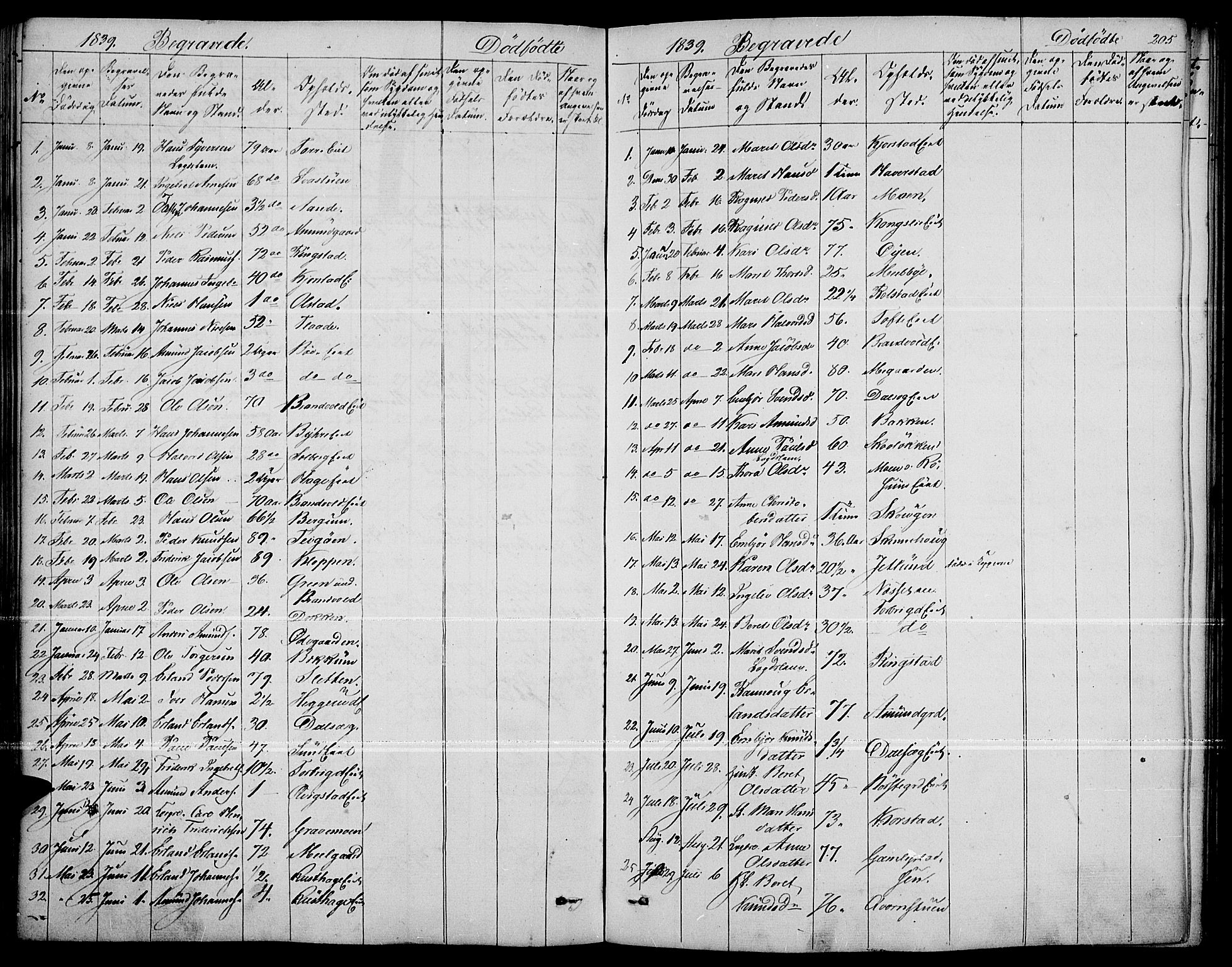 Fron prestekontor, SAH/PREST-078/H/Ha/Haa/L0004: Parish register (official) no. 4, 1839-1848, p. 205