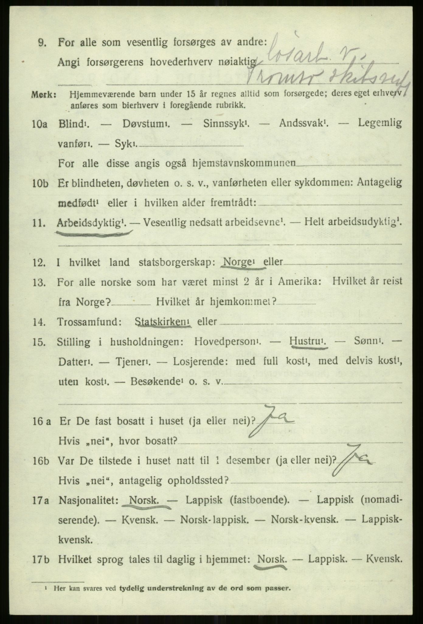 SATØ, 1920 census for Tromsøysund, 1920, p. 14183