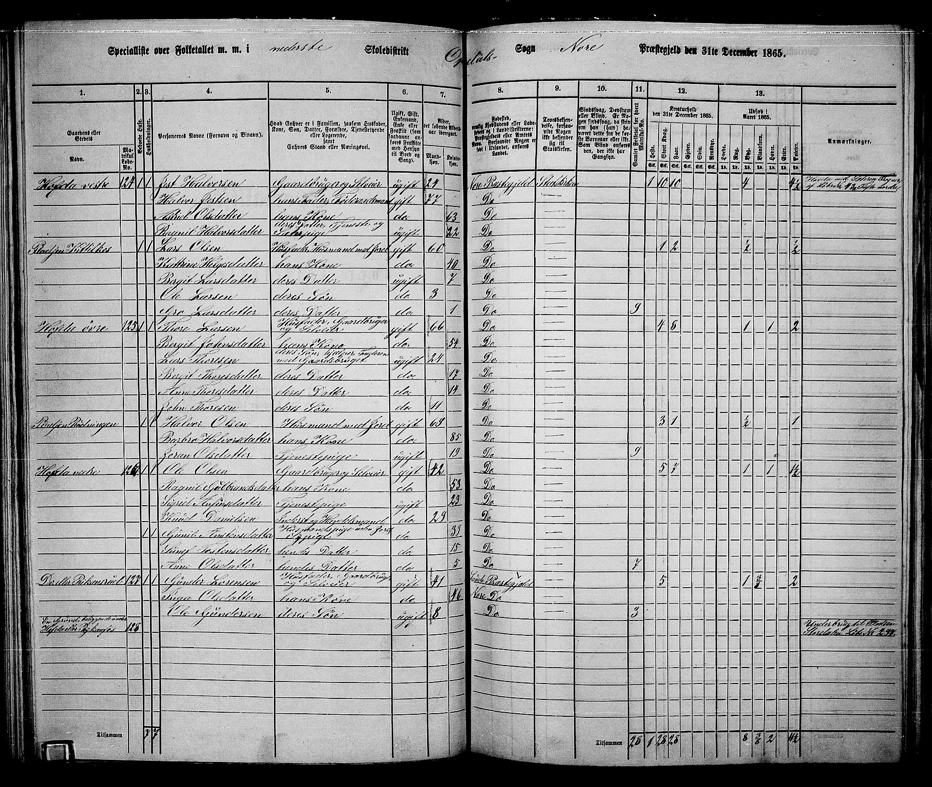 RA, 1865 census for Nore, 1865, p. 83