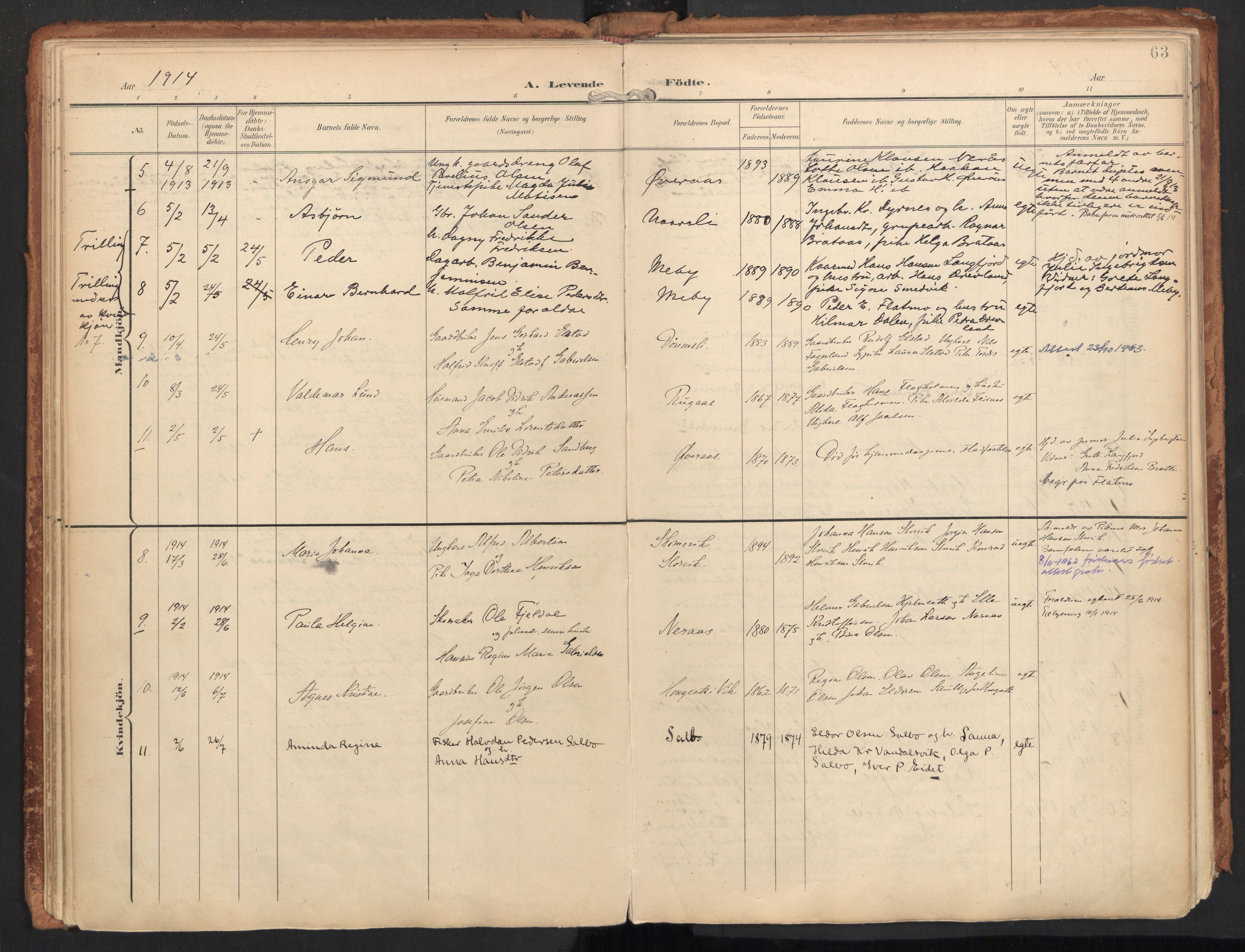 Ministerialprotokoller, klokkerbøker og fødselsregistre - Nordland, AV/SAT-A-1459/814/L0227: Parish register (official) no. 814A08, 1899-1920, p. 63