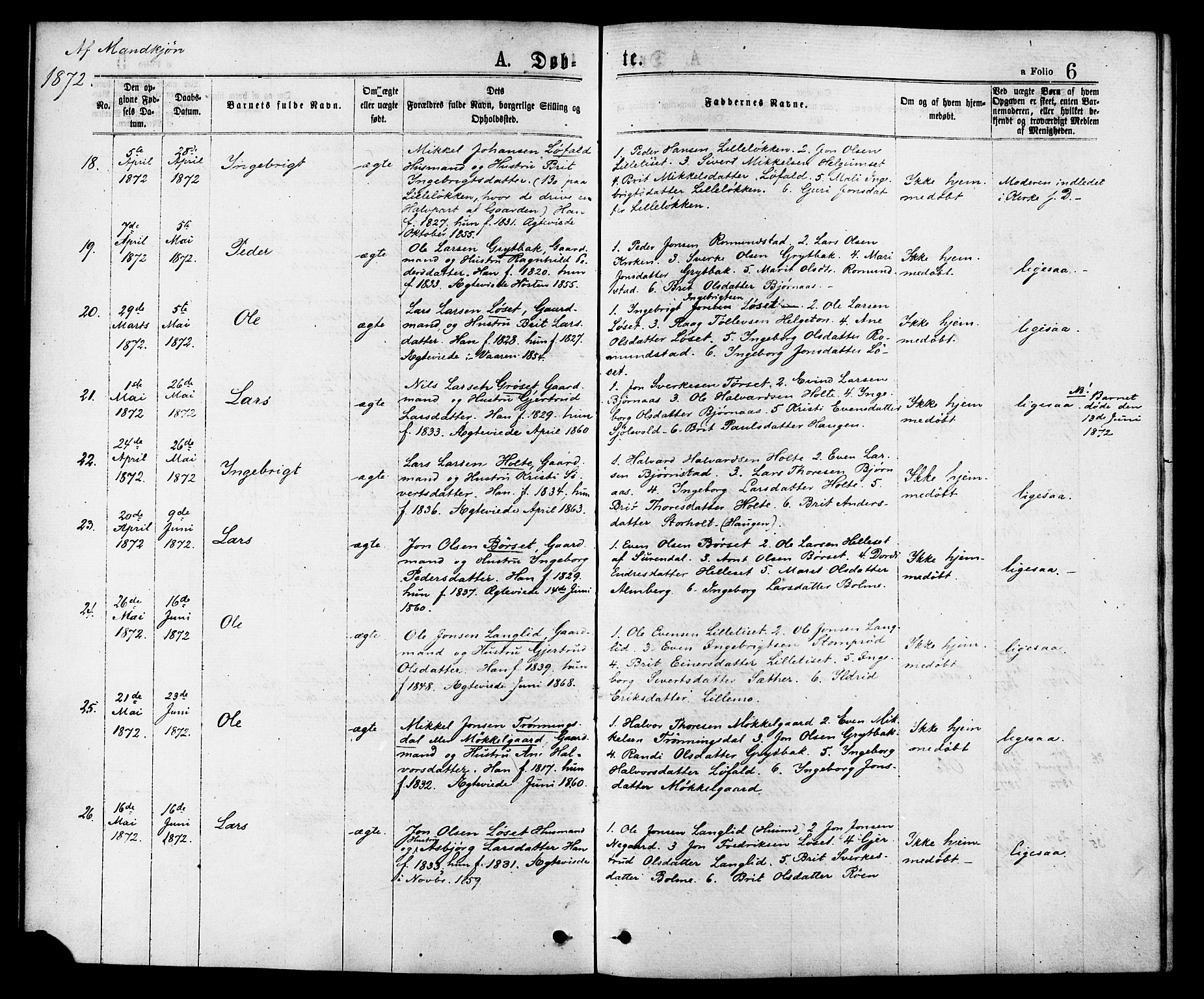 Ministerialprotokoller, klokkerbøker og fødselsregistre - Møre og Romsdal, AV/SAT-A-1454/598/L1068: Parish register (official) no. 598A02, 1872-1881, p. 6