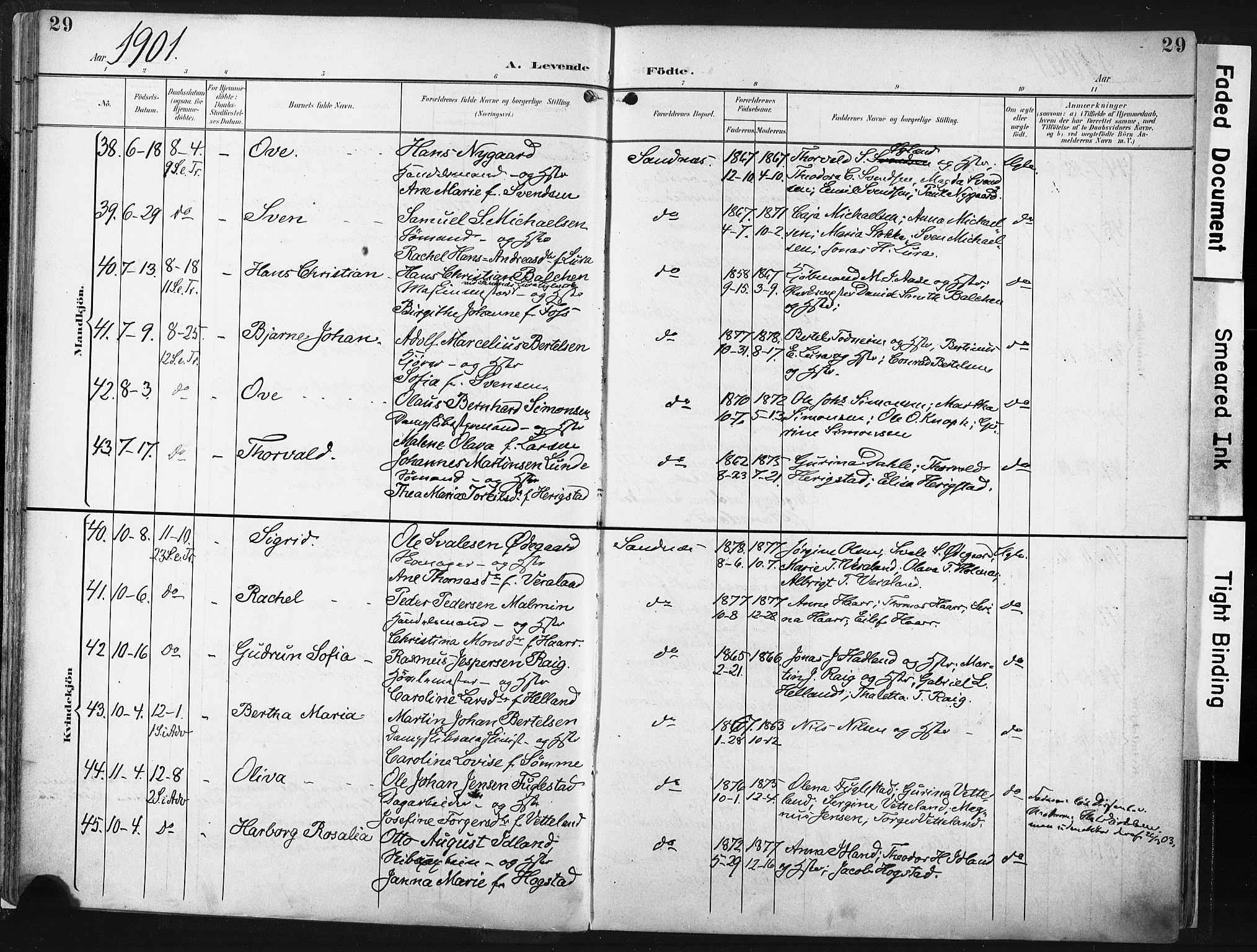 Høyland sokneprestkontor, AV/SAST-A-101799/001/30BA/L0016: Parish register (official) no. A 16, 1899-1911, p. 29