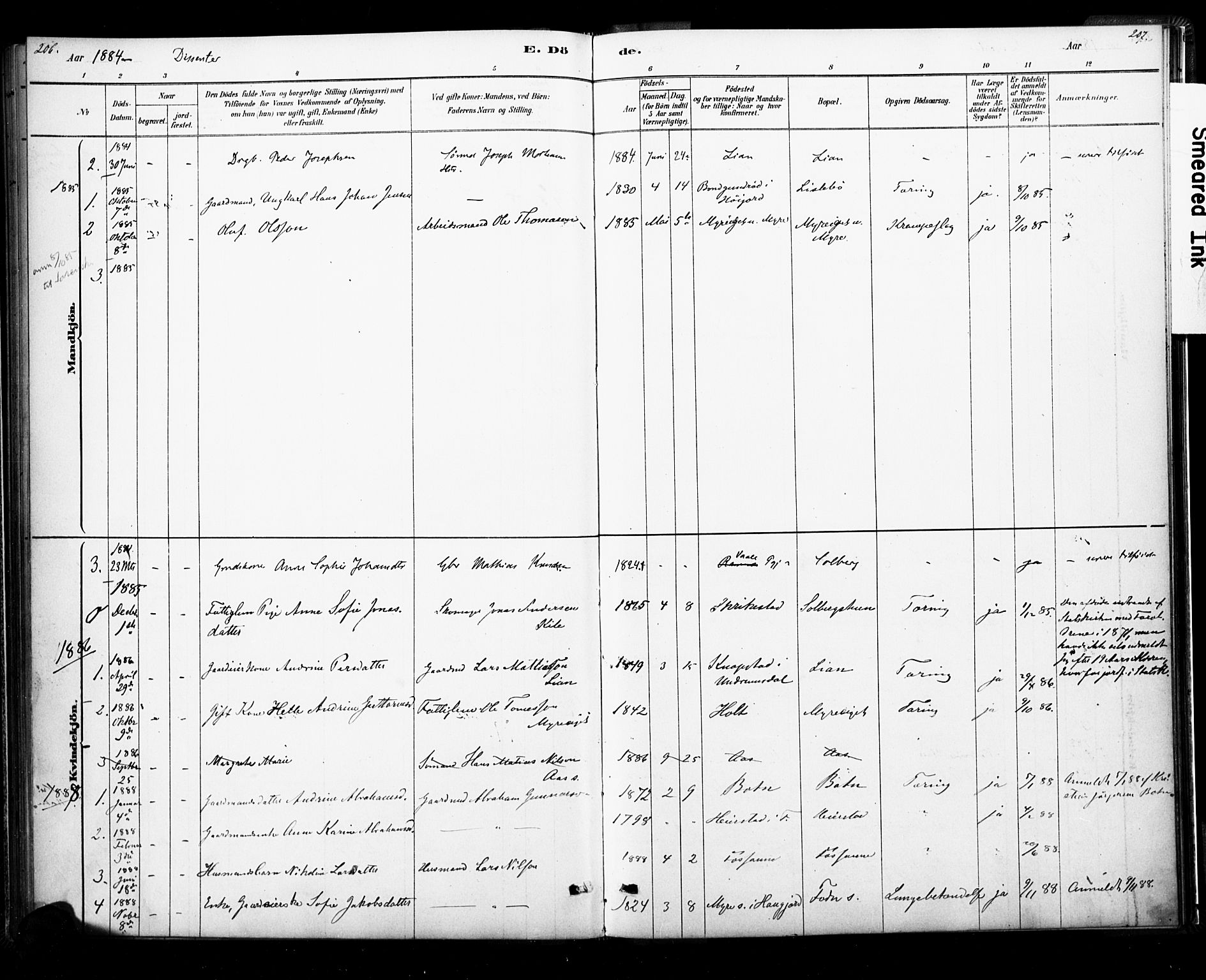 Ramnes kirkebøker, SAKO/A-314/F/Fb/L0001: Parish register (official) no. II 1, 1878-1894, p. 206-207