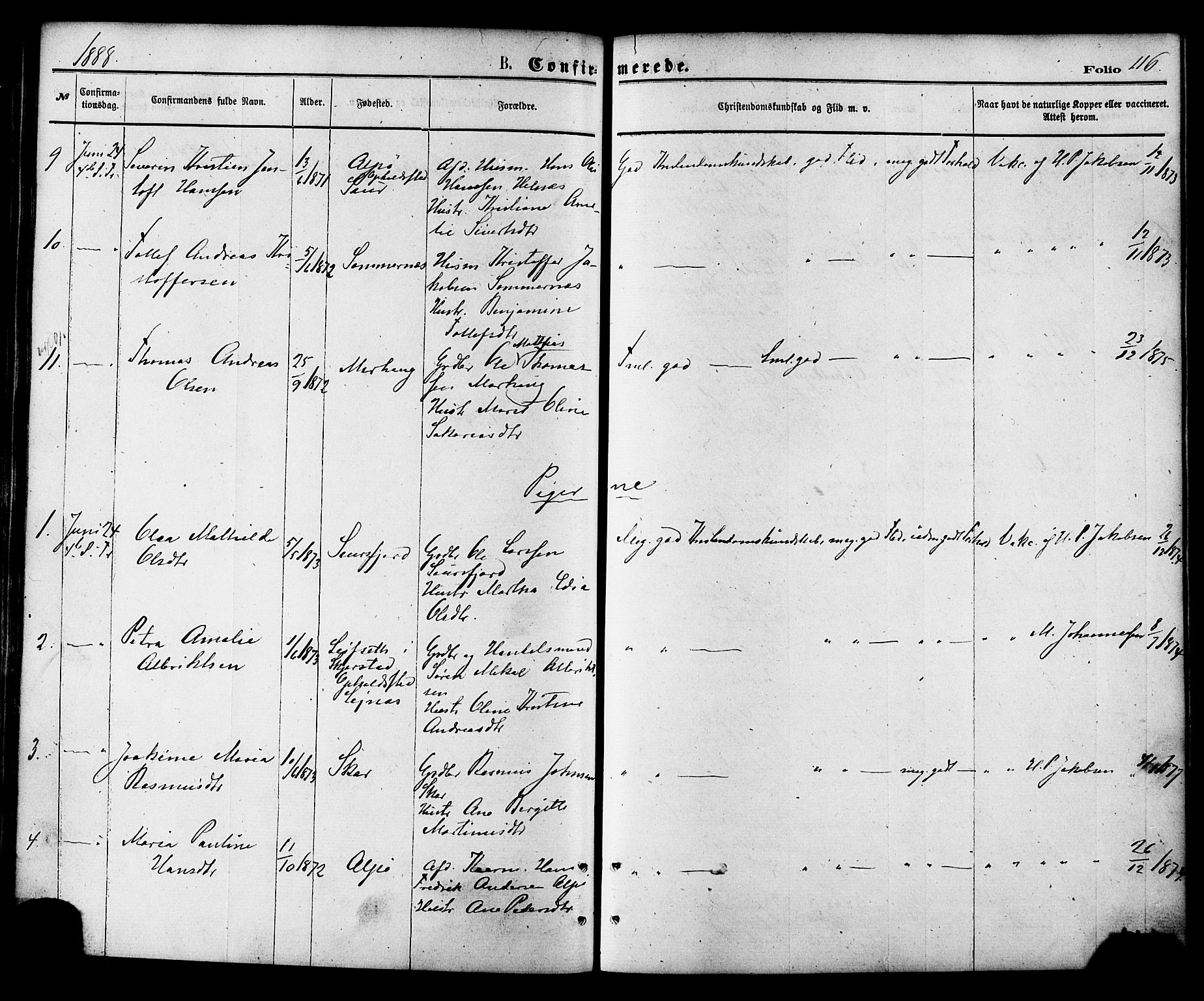 Ministerialprotokoller, klokkerbøker og fødselsregistre - Nordland, AV/SAT-A-1459/857/L0821: Parish register (official) no. 857A01, 1875-1889, p. 116