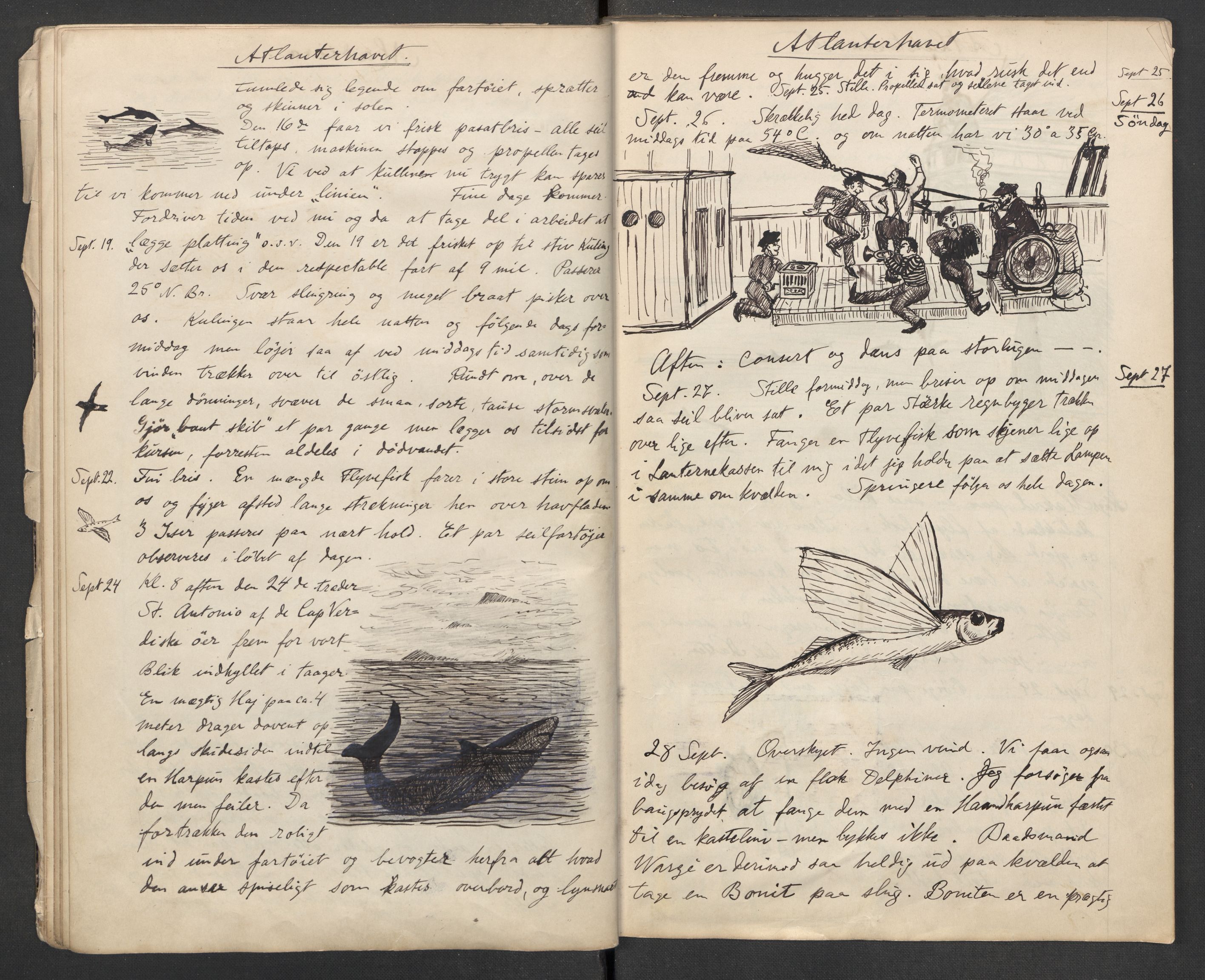 Koren-familien, RA/PA-0337/D/L0104/0001: Lnr. 206 Johan Koren, 1879-1919, zoolog / Johan Korens håndskrevne dagbok fra Belgica ekspedisjonen, 1897-1898, p. 11