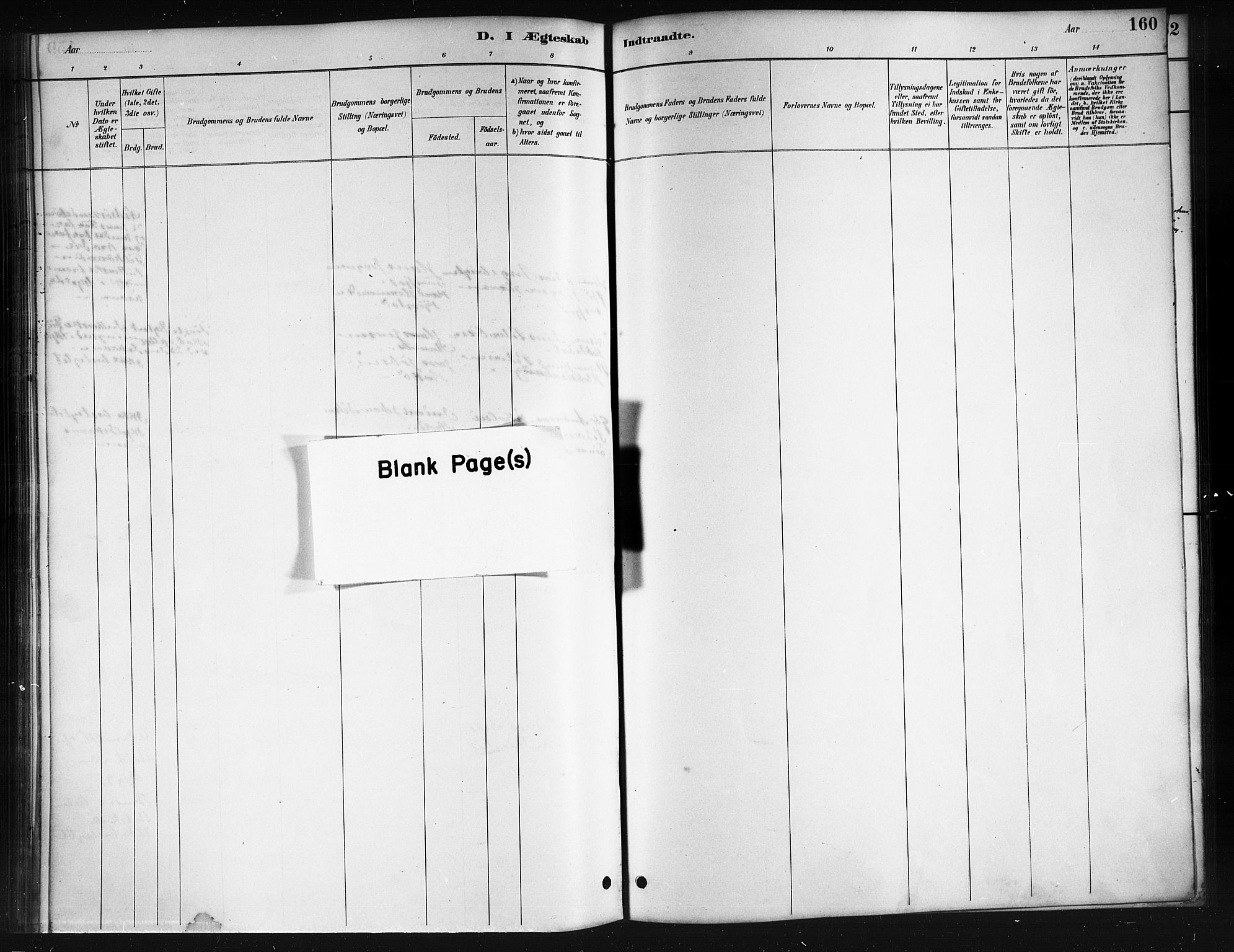 Ministerialprotokoller, klokkerbøker og fødselsregistre - Nordland, AV/SAT-A-1459/895/L1382: Parish register (copy) no. 895C04, 1885-1896, p. 160