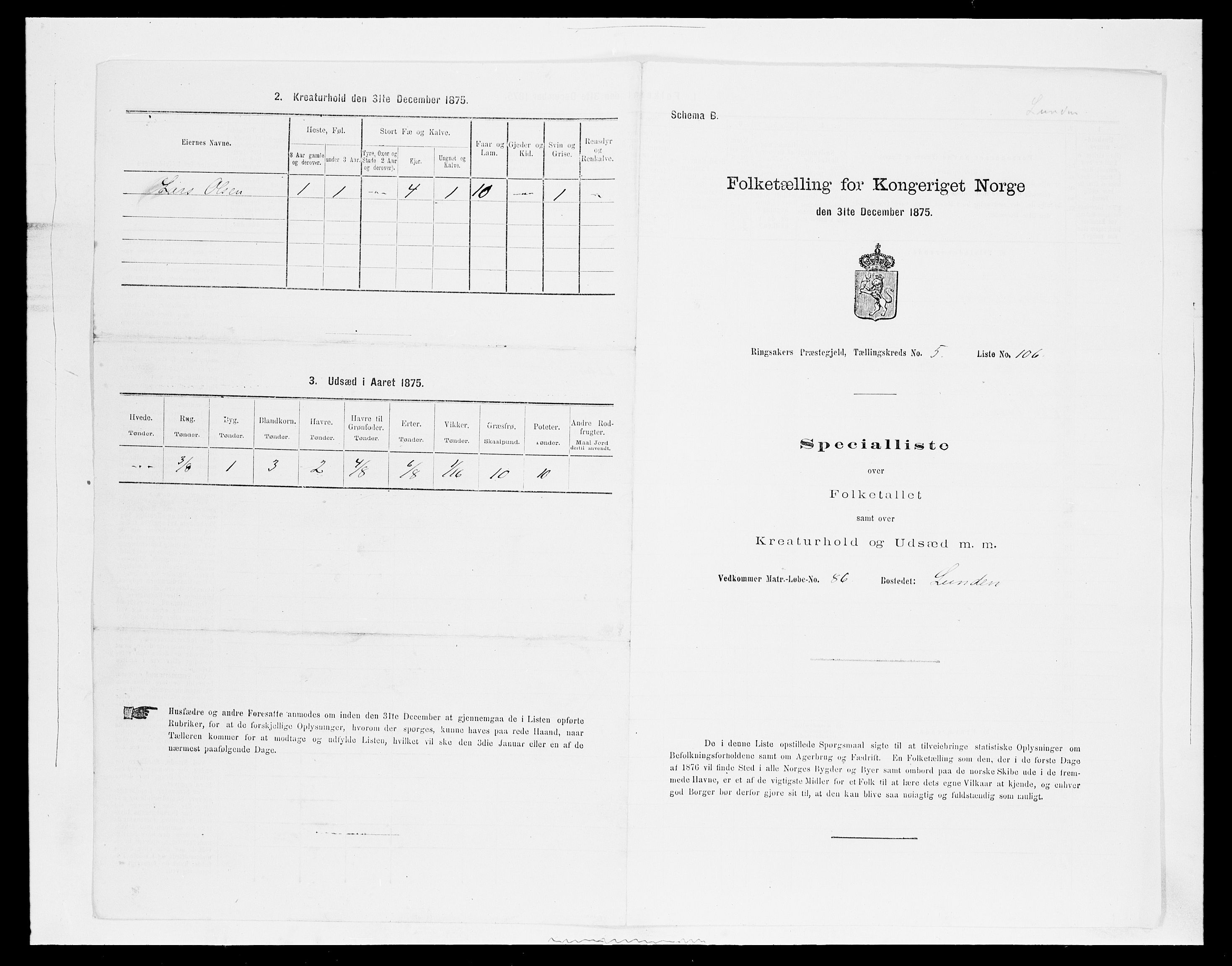 SAH, 1875 census for 0412P Ringsaker, 1875, p. 1141