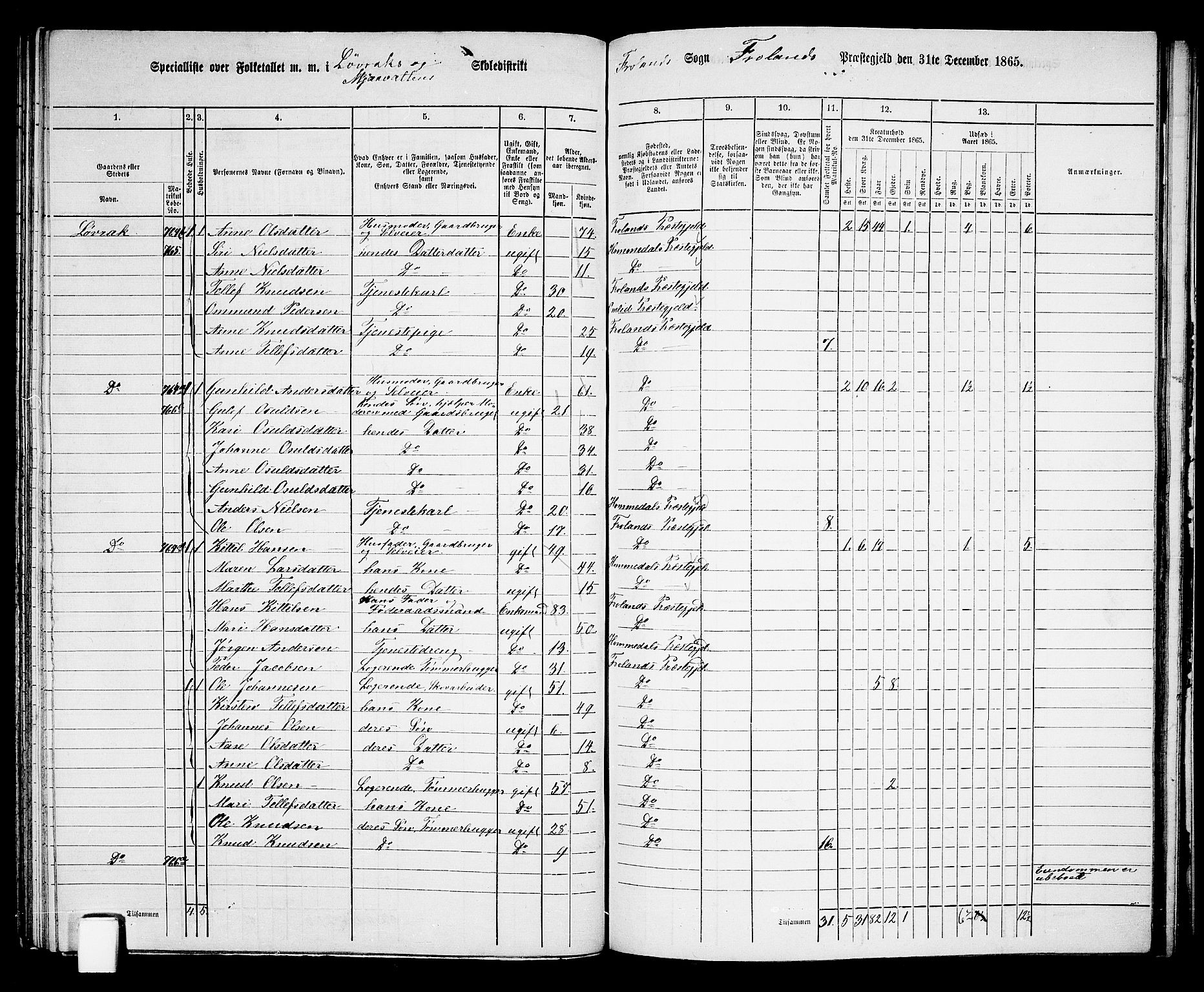 RA, 1865 census for Froland, 1865, p. 63