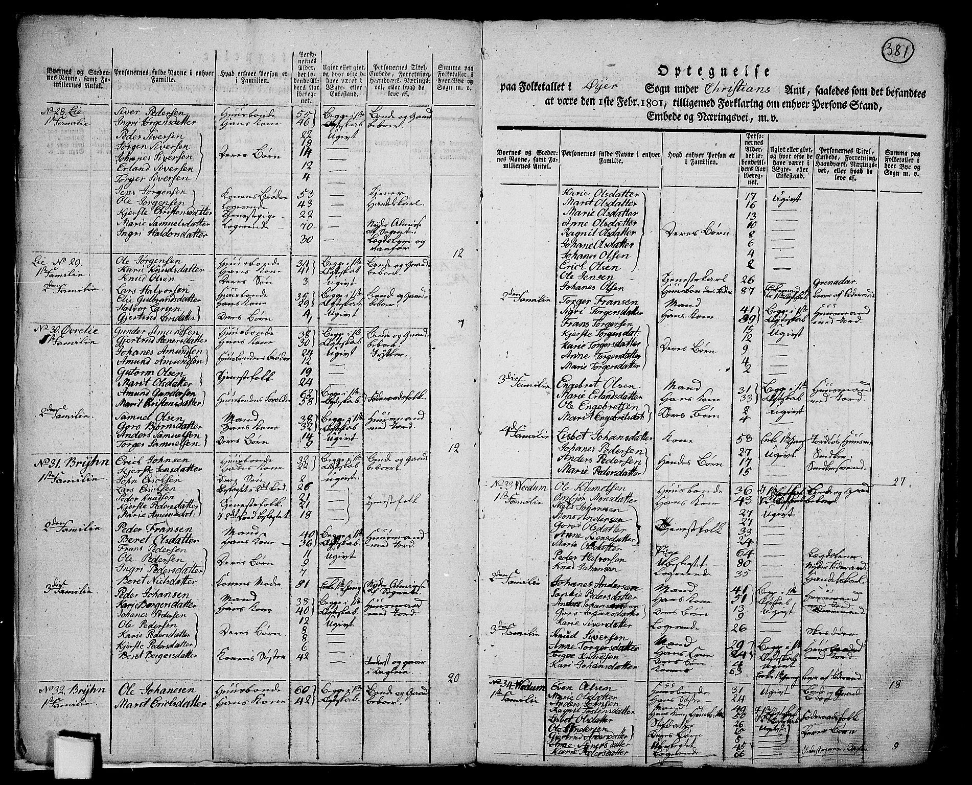 RA, 1801 census for 0521P Øyer, 1801, p. 380b-381a