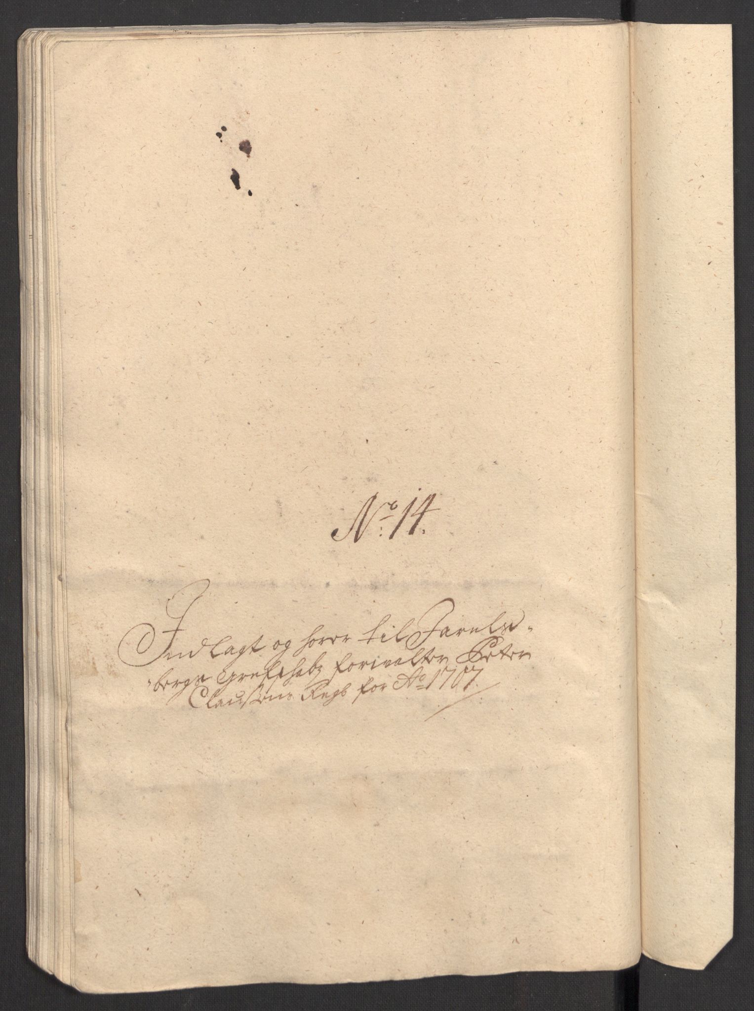 Rentekammeret inntil 1814, Reviderte regnskaper, Fogderegnskap, RA/EA-4092/R32/L1872: Fogderegnskap Jarlsberg grevskap, 1706-1707, p. 486