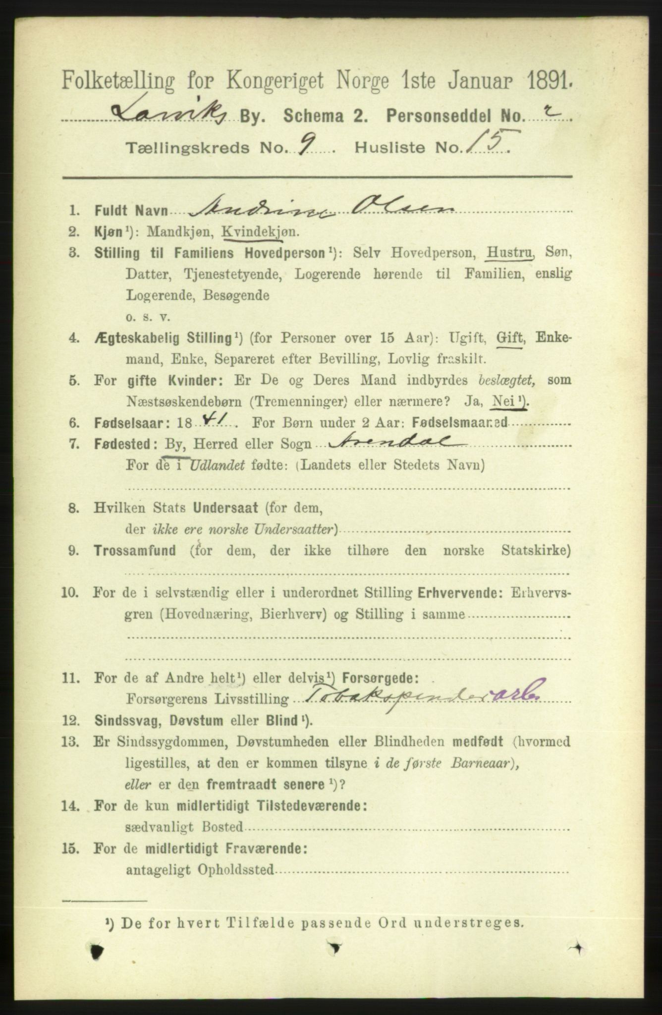 RA, 1891 census for 0707 Larvik, 1891, p. 8656
