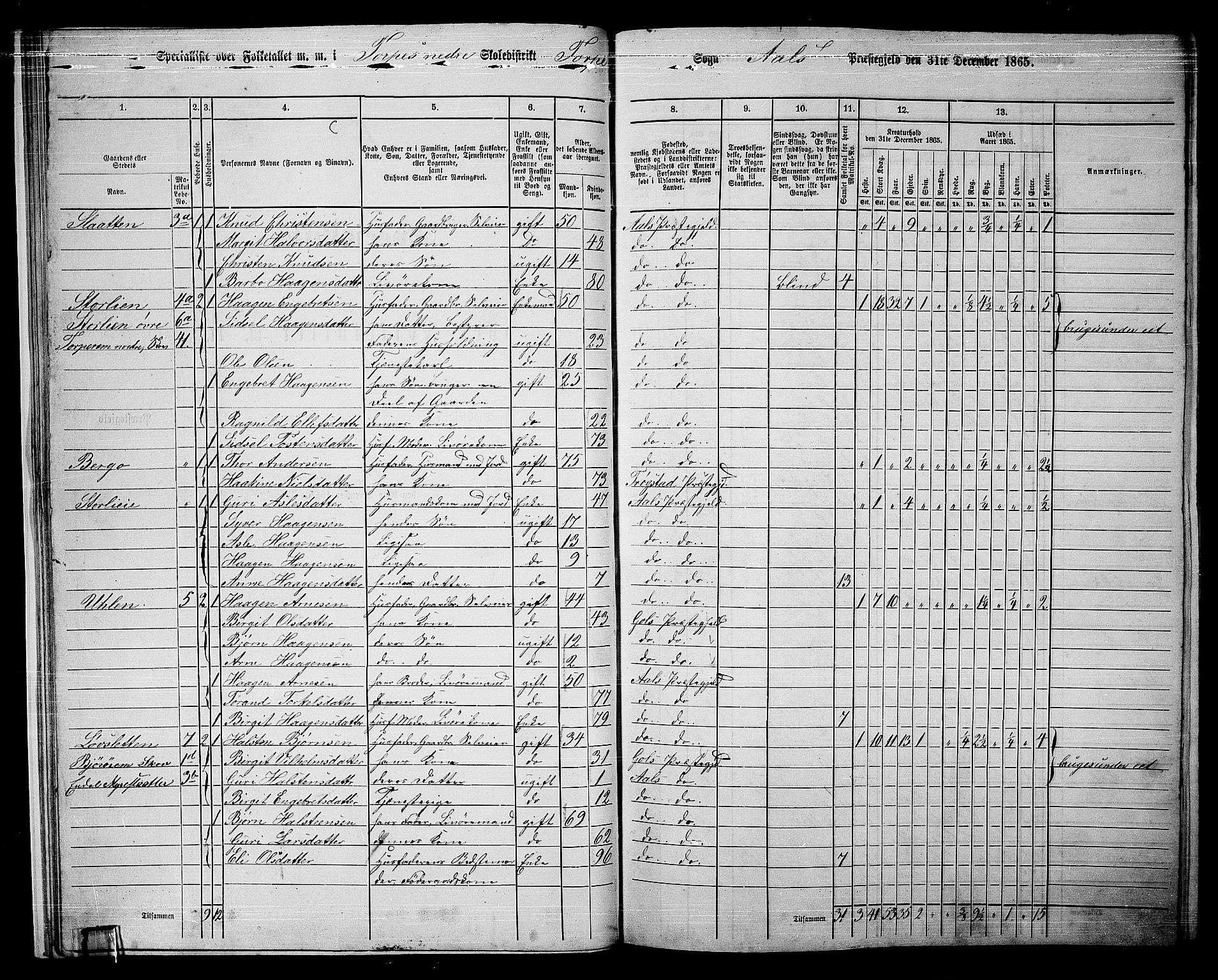 RA, 1865 census for Ål, 1865, p. 23