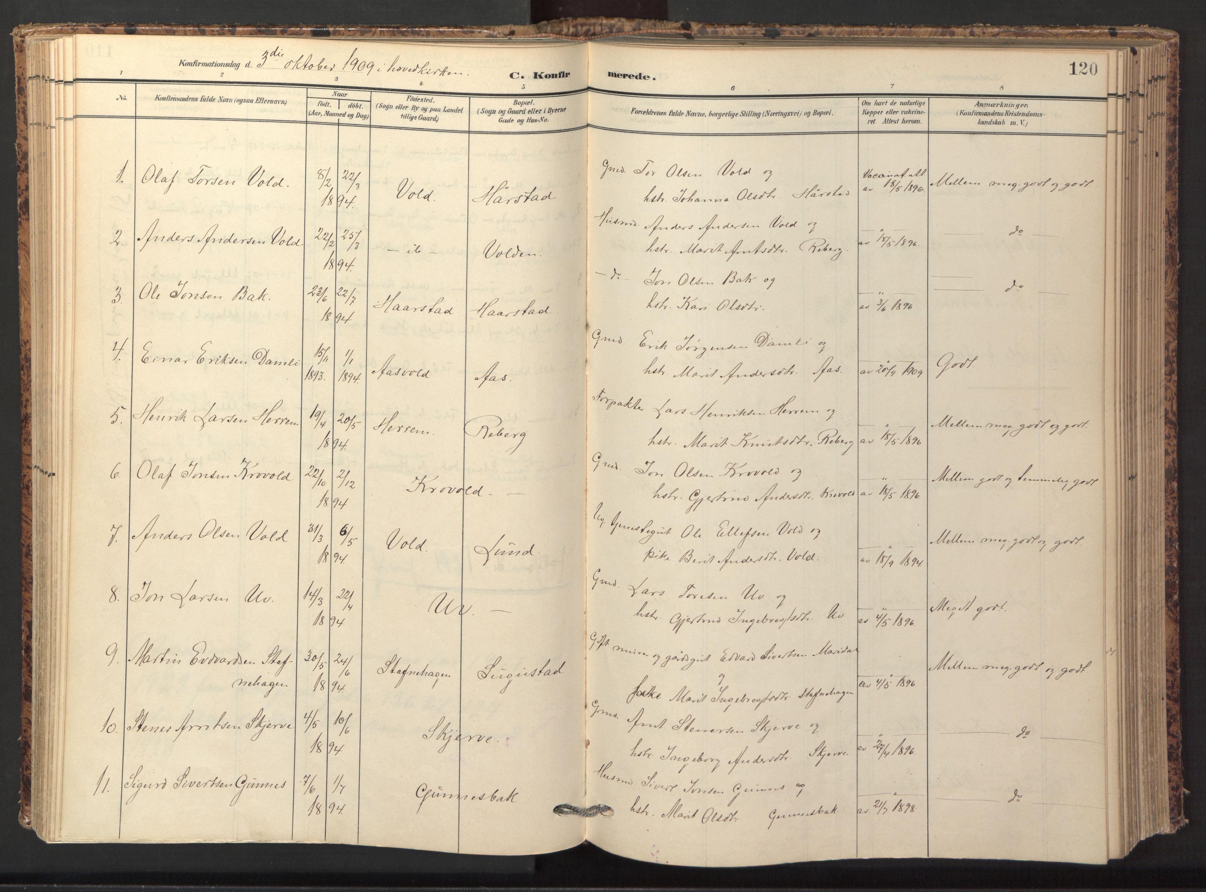 Ministerialprotokoller, klokkerbøker og fødselsregistre - Sør-Trøndelag, SAT/A-1456/674/L0873: Parish register (official) no. 674A05, 1908-1923, p. 120