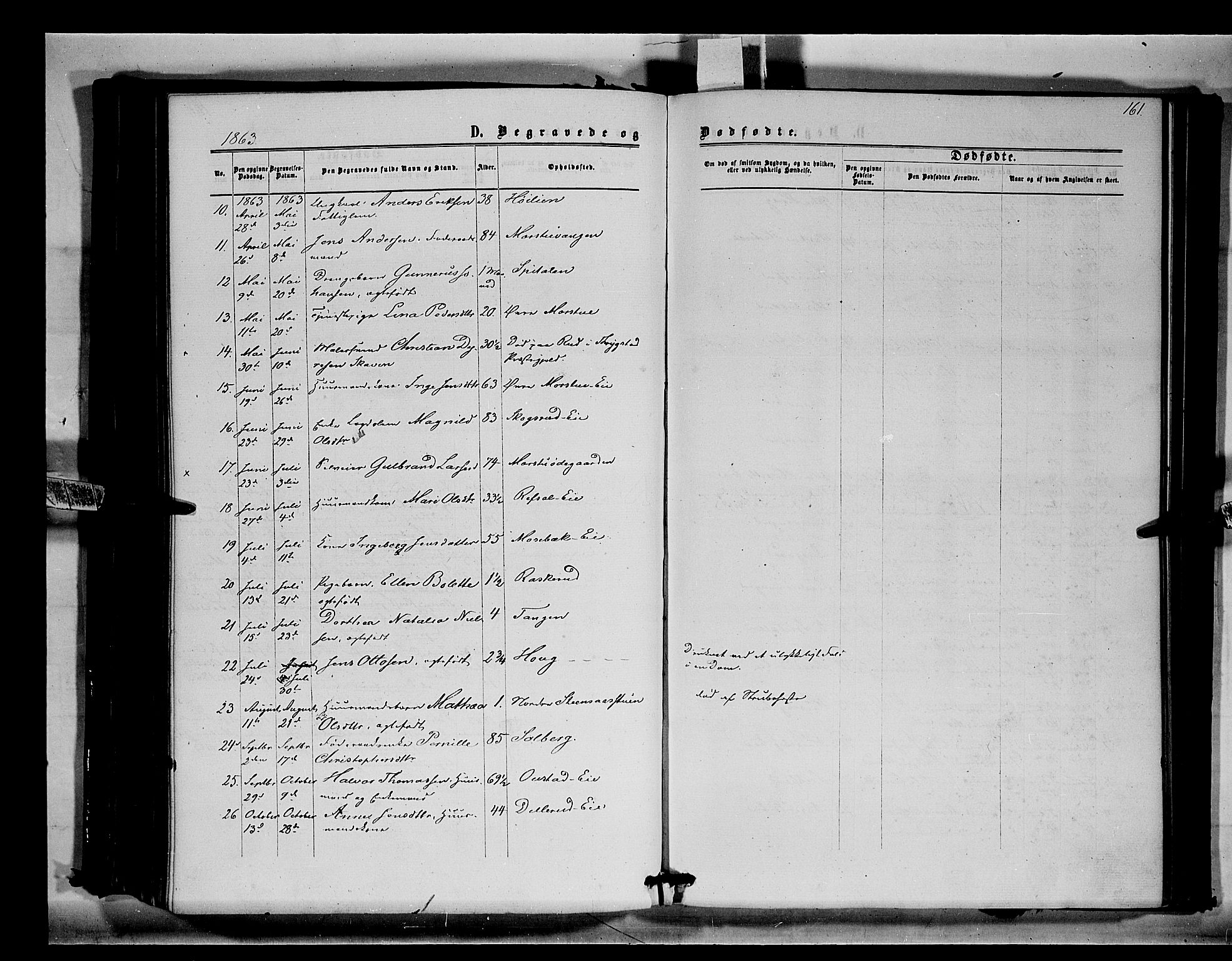 Stange prestekontor, SAH/PREST-002/K/L0014: Parish register (official) no. 14, 1862-1879, p. 161