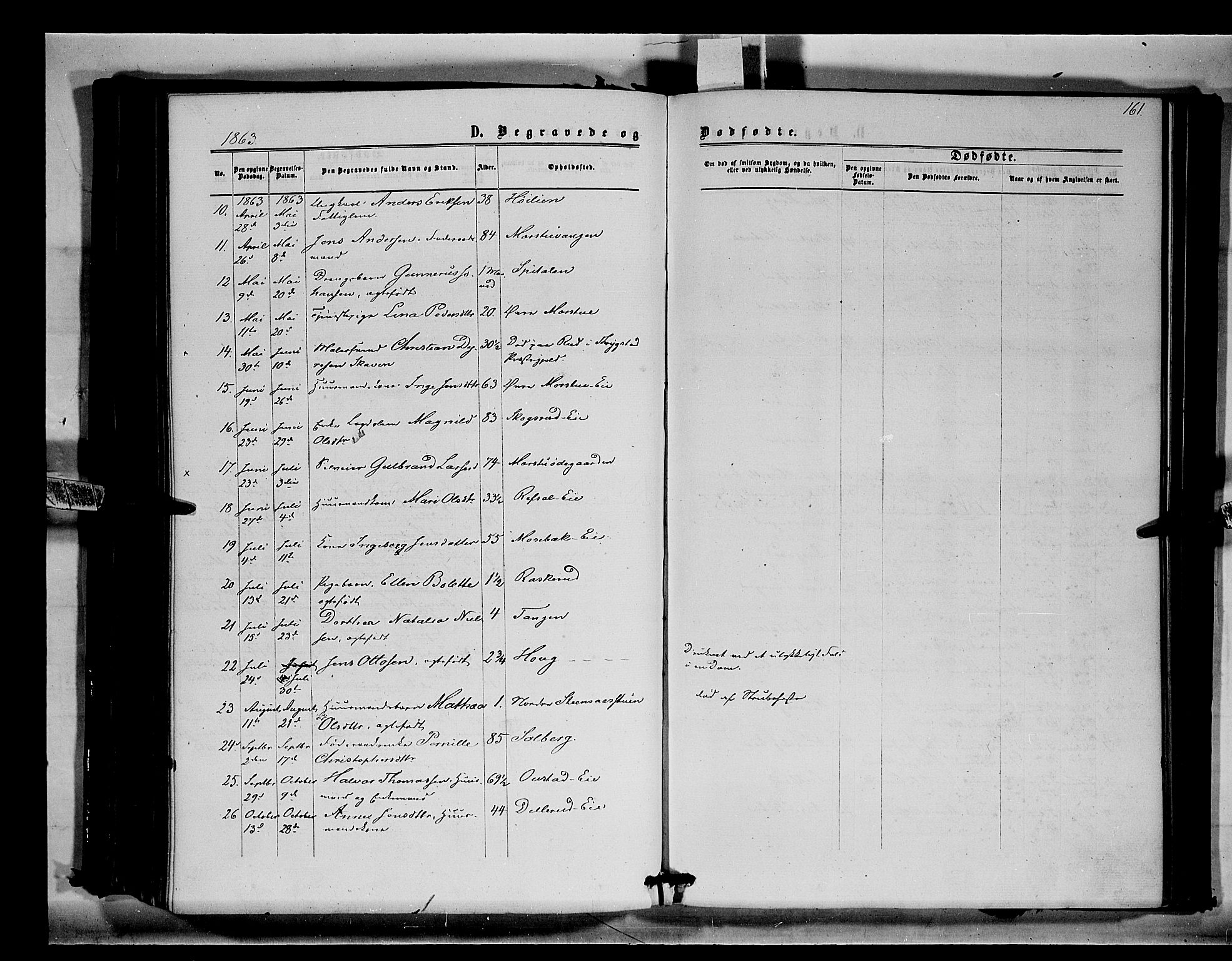 Stange prestekontor, AV/SAH-PREST-002/K/L0014: Parish register (official) no. 14, 1862-1879, p. 161