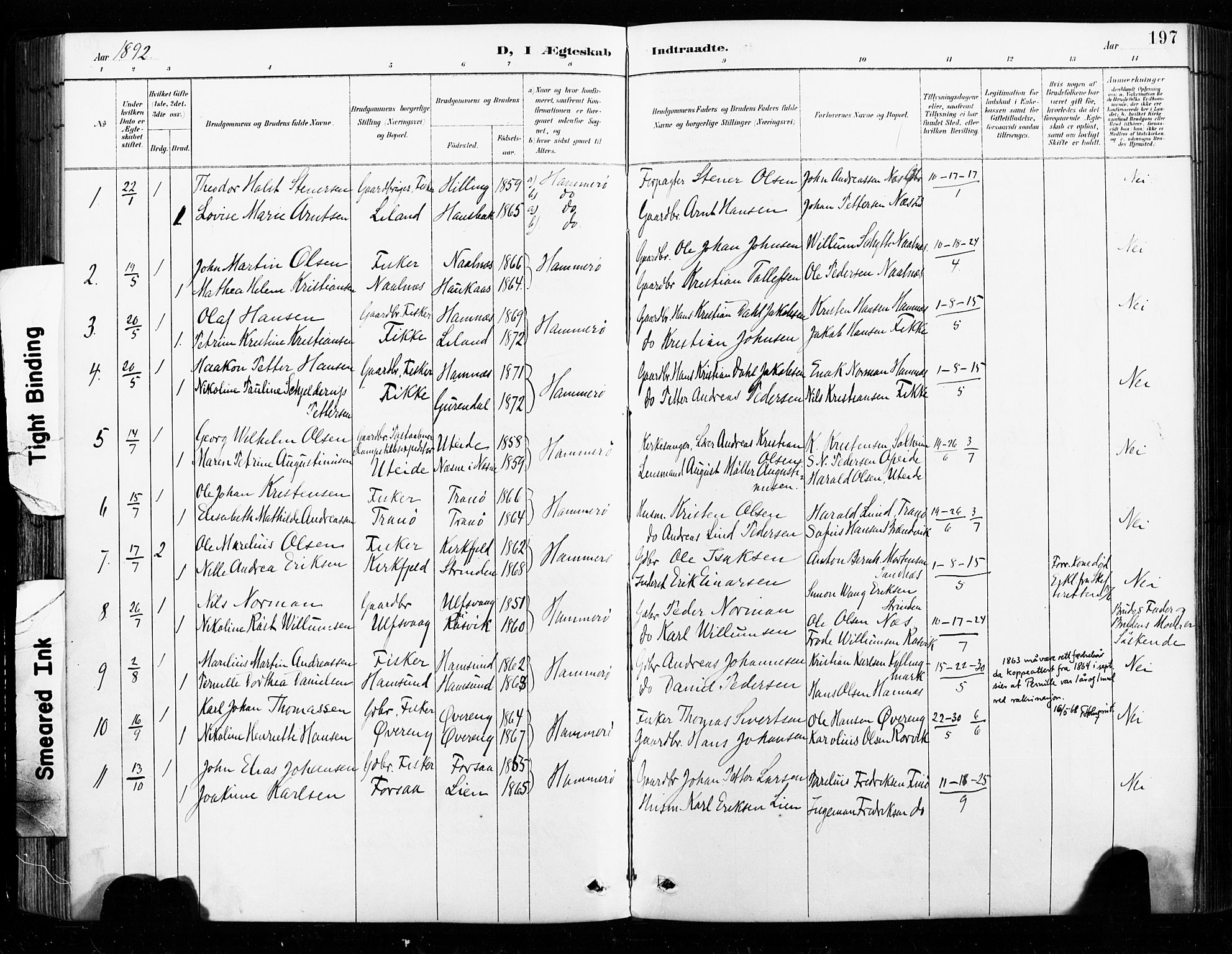 Ministerialprotokoller, klokkerbøker og fødselsregistre - Nordland, SAT/A-1459/859/L0847: Parish register (official) no. 859A07, 1890-1899, p. 197