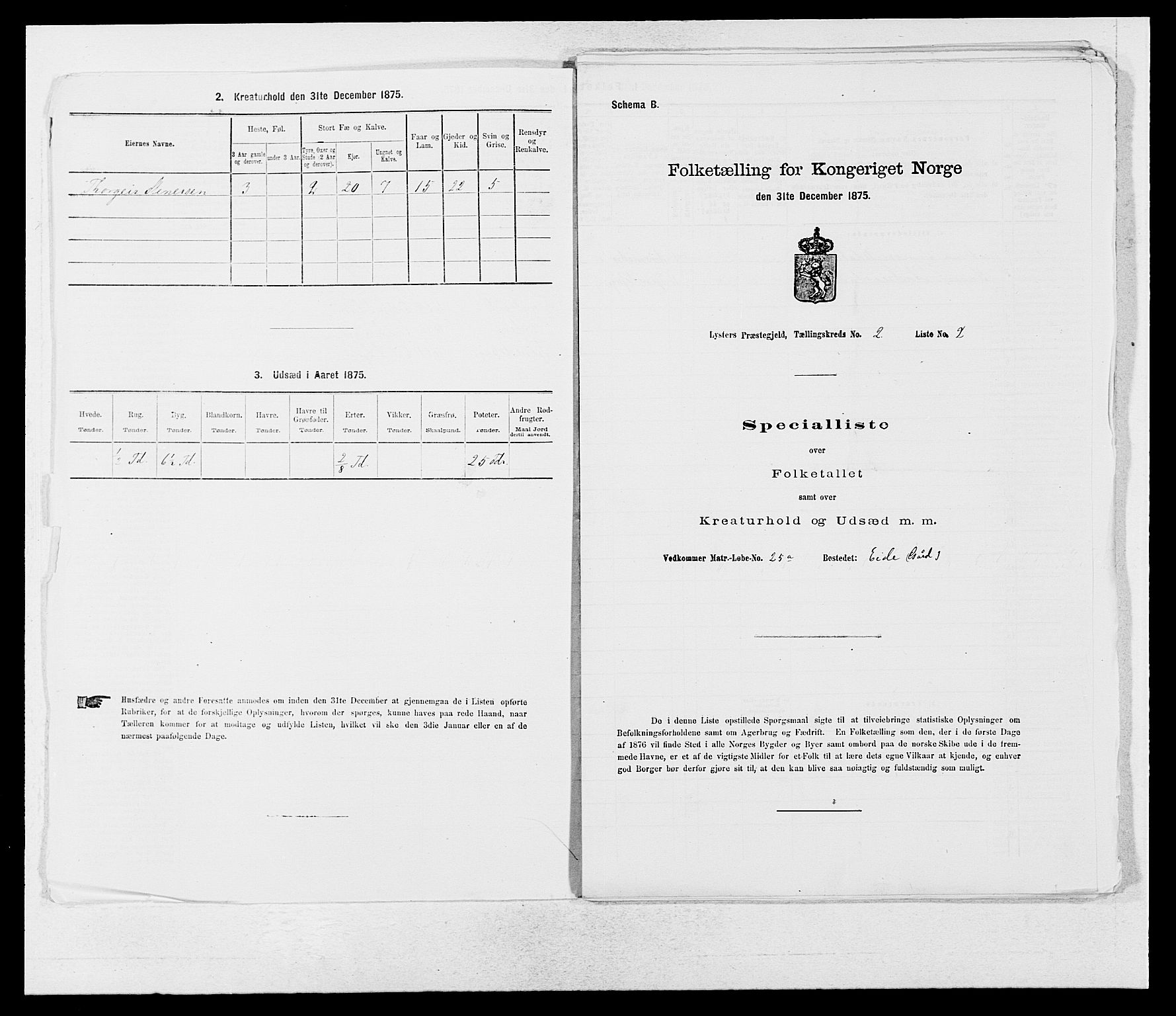 SAB, 1875 census for 1426P Luster, 1875, p. 248