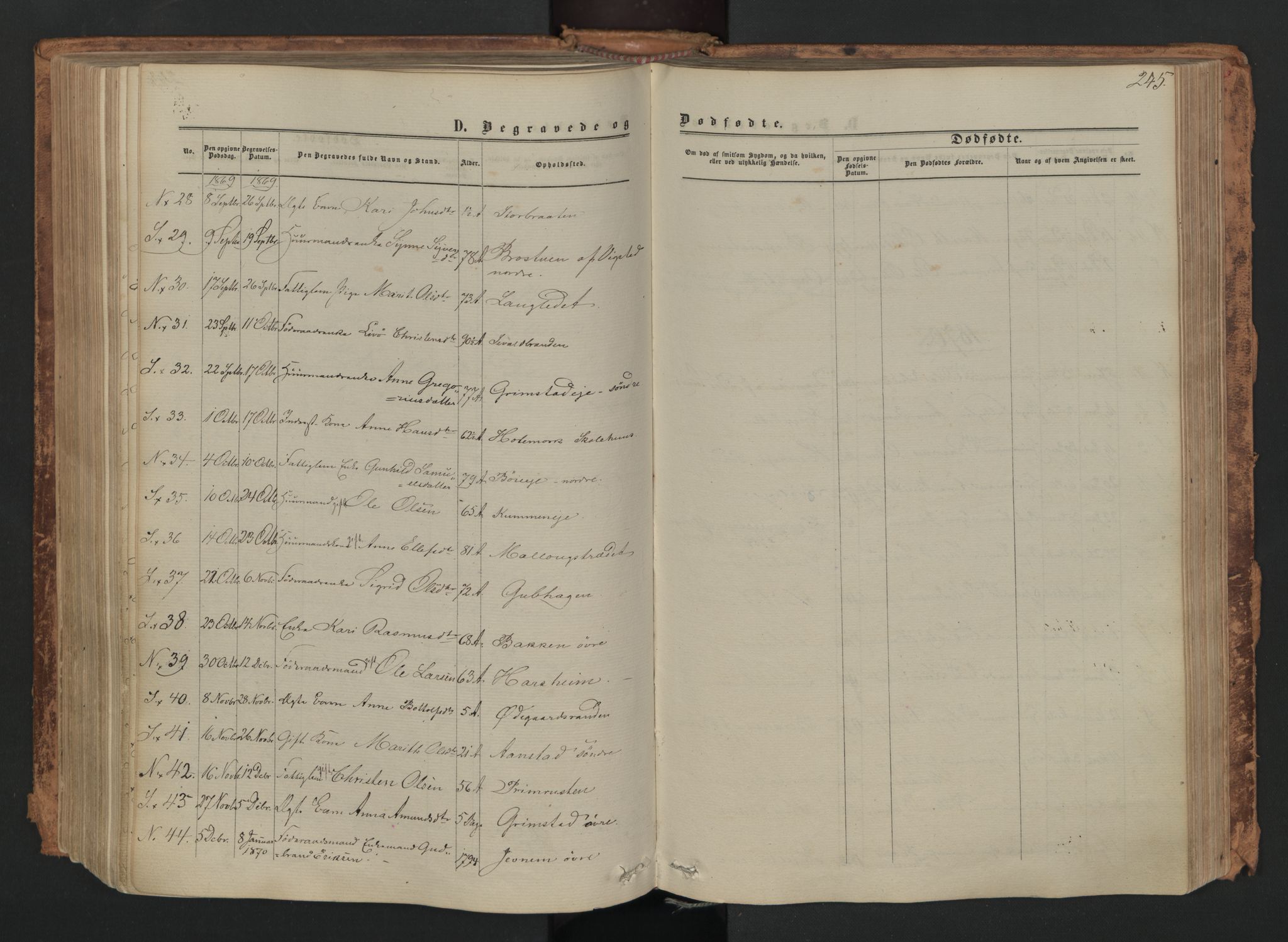 Skjåk prestekontor, SAH/PREST-072/H/Ha/Haa/L0001: Parish register (official) no. 1, 1863-1879, p. 245