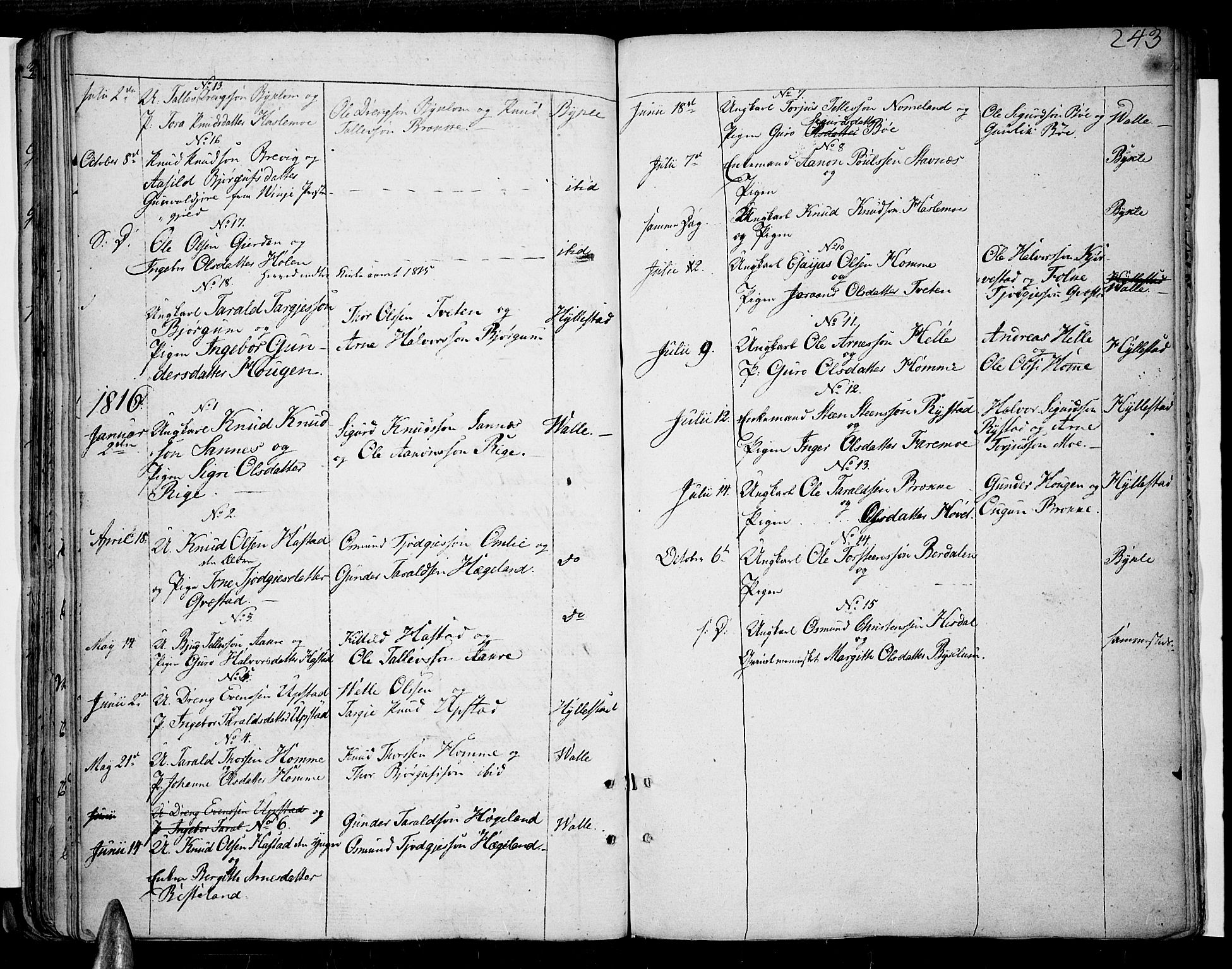 Valle sokneprestkontor, SAK/1111-0044/F/Fa/Fac/L0004: Parish register (official) no. A 4, 1790-1816, p. 243
