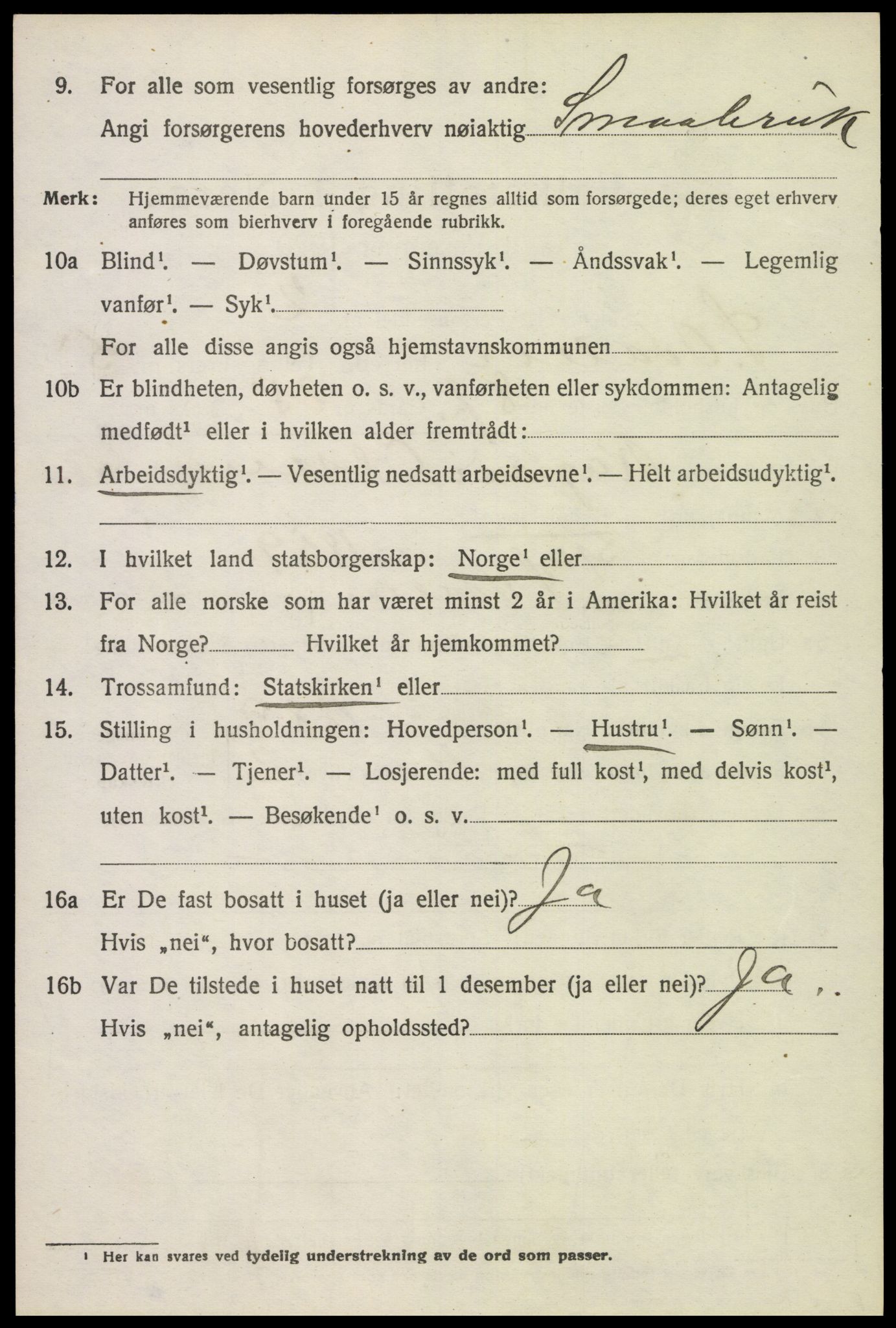 SAH, 1920 census for Sør-Odal, 1920, p. 6056