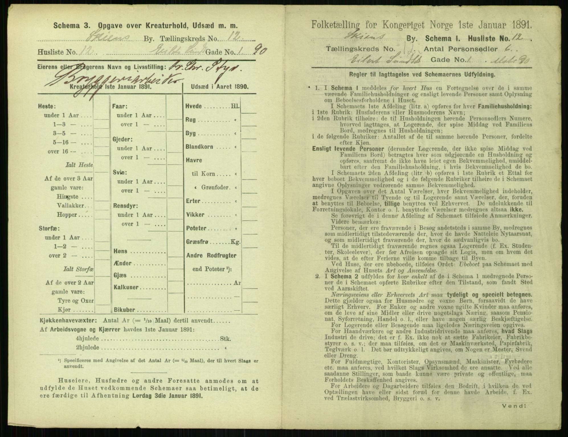 RA, 1891 census for 0806 Skien, 1891, p. 492