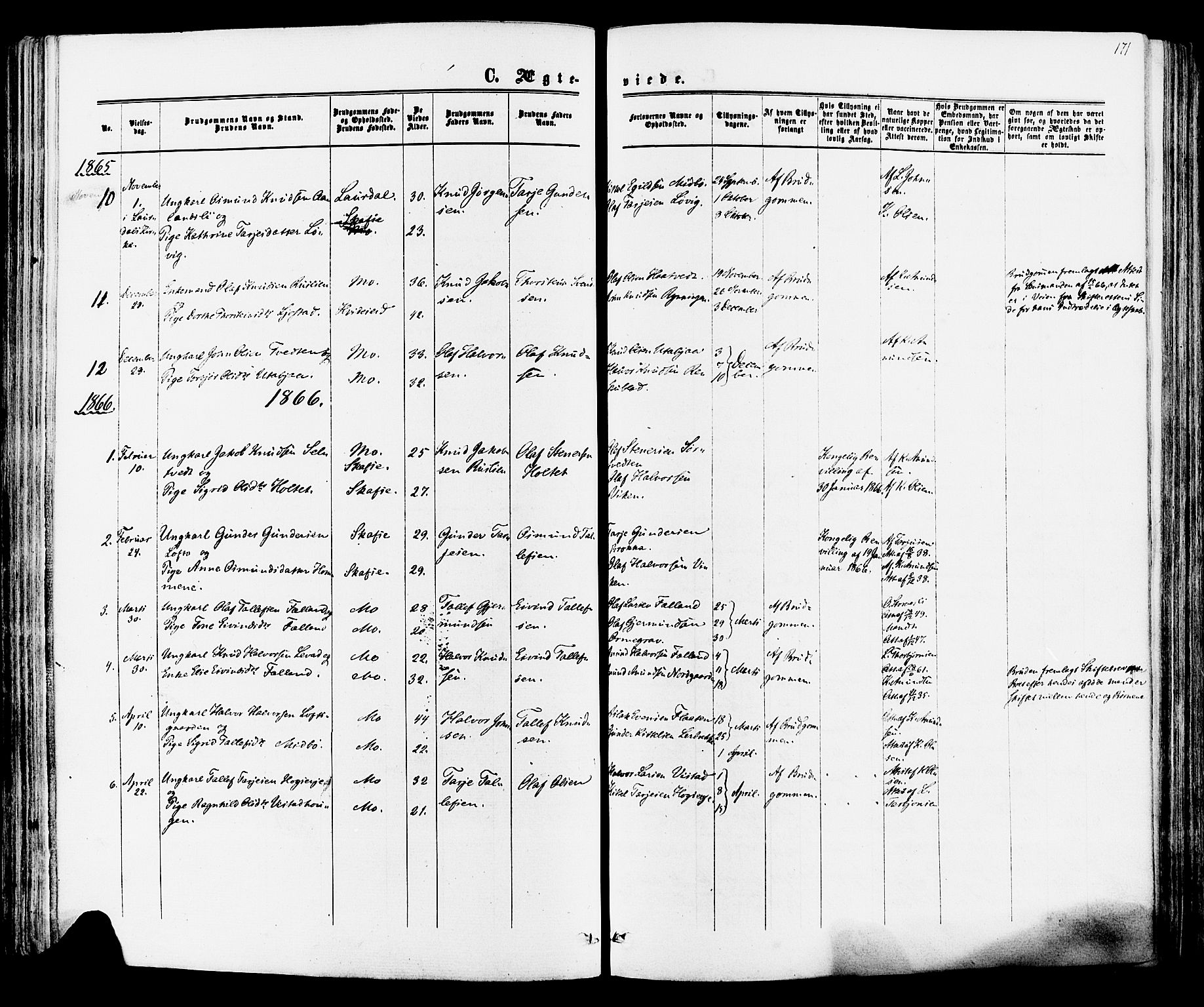 Mo kirkebøker, SAKO/A-286/F/Fa/L0006: Parish register (official) no. I 6, 1865-1885, p. 171