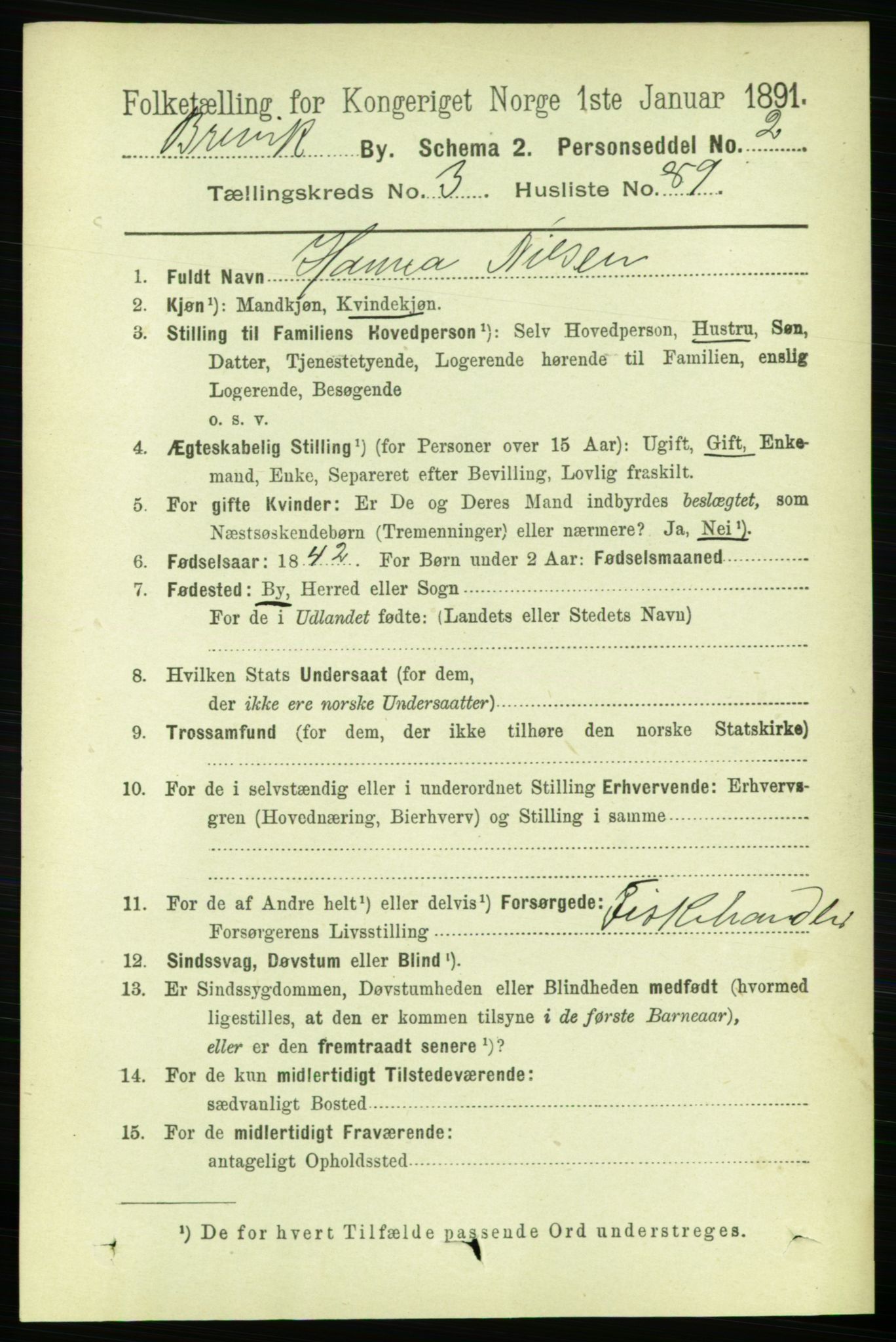 RA, 1891 census for 0804 Brevik, 1891, p. 2693