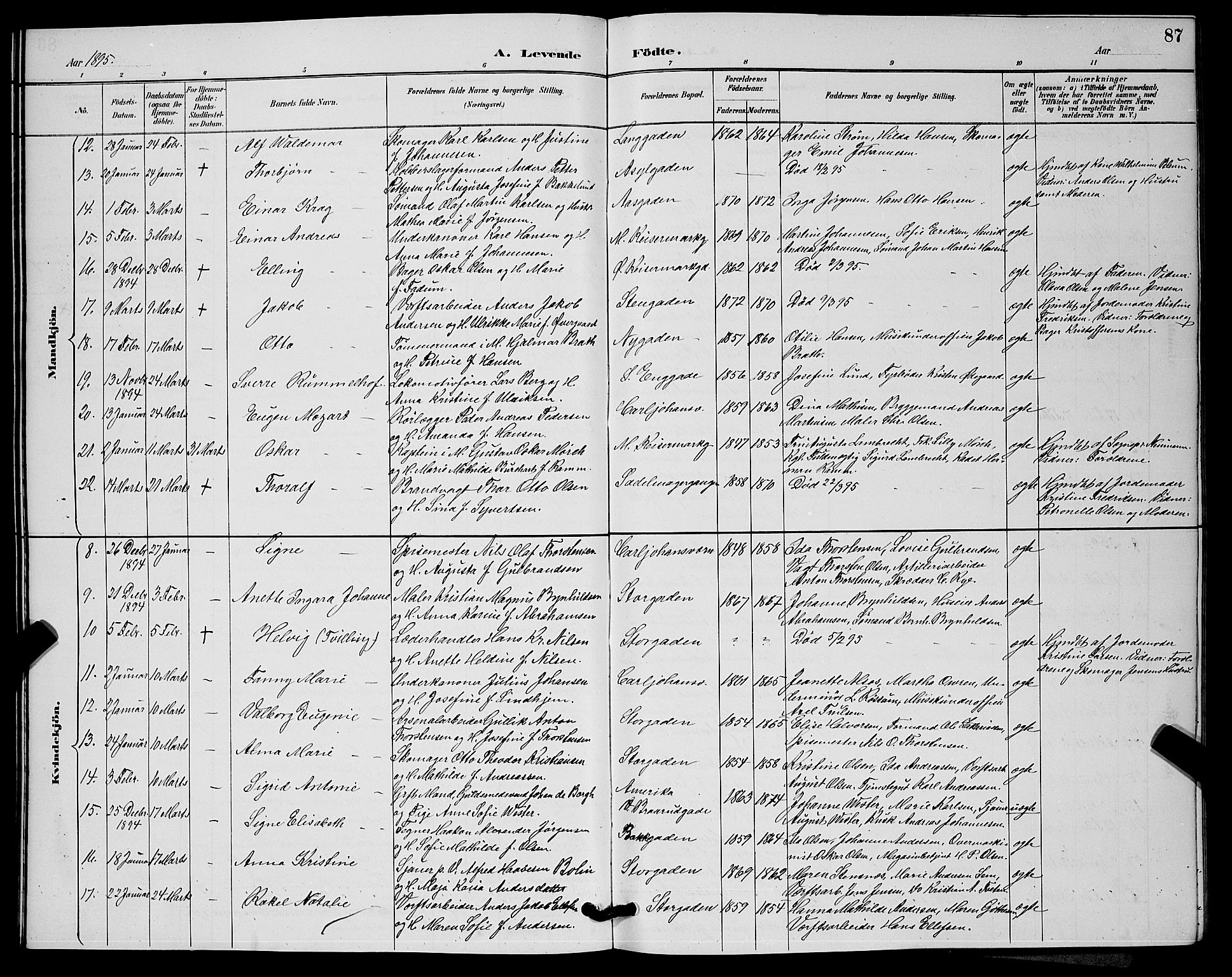 Horten kirkebøker, AV/SAKO-A-348/G/Ga/L0005: Parish register (copy) no. 5, 1888-1895, p. 87