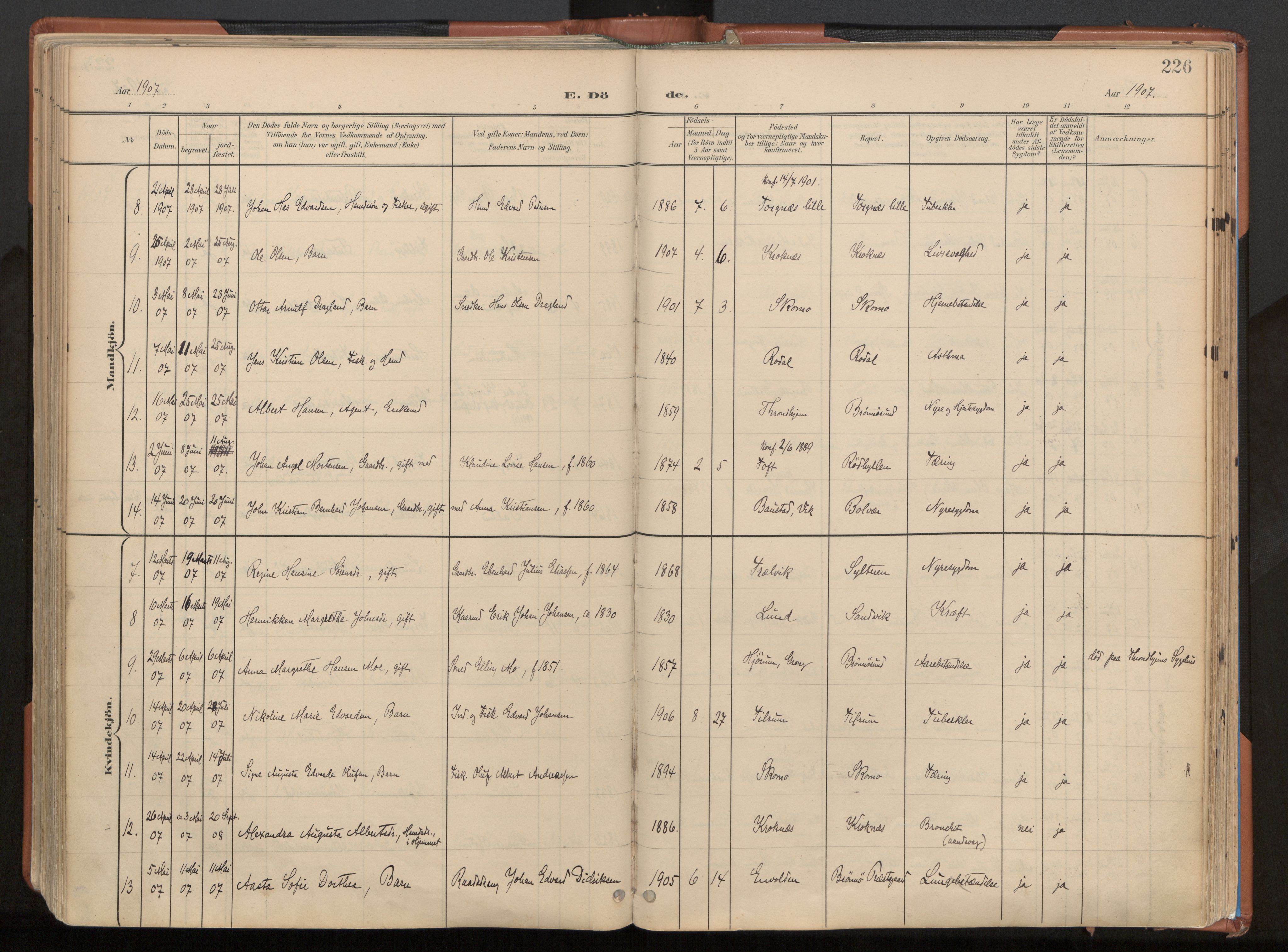 Ministerialprotokoller, klokkerbøker og fødselsregistre - Nordland, SAT/A-1459/813/L0201: Parish register (official) no. 813A11, 1901-1918, p. 226