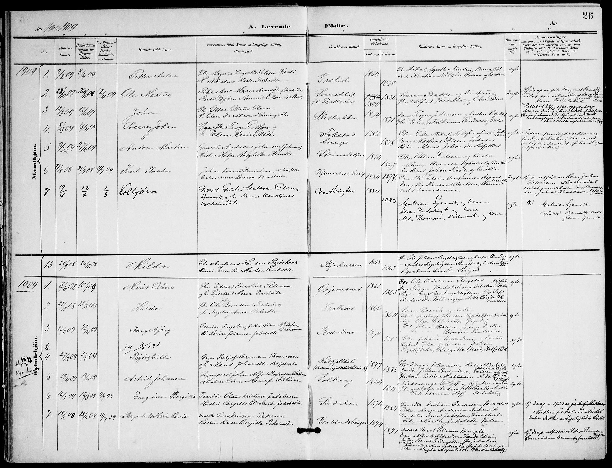 Ministerialprotokoller, klokkerbøker og fødselsregistre - Nordland, AV/SAT-A-1459/823/L0326: Parish register (official) no. 823A03, 1899-1919, p. 26