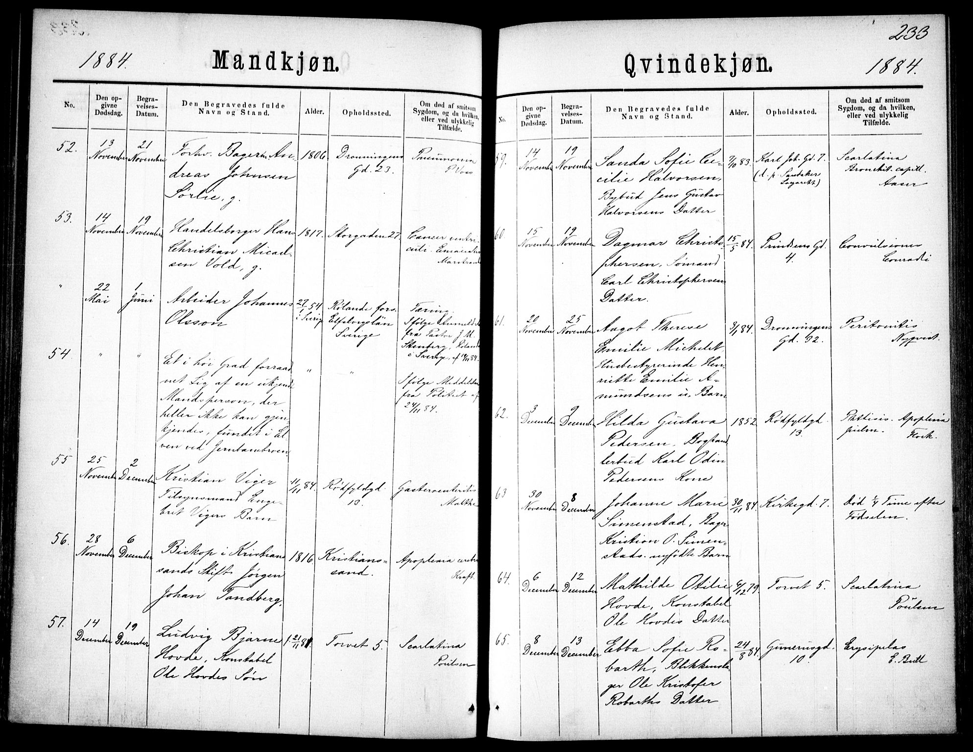 Oslo domkirke Kirkebøker, SAO/A-10752/F/Fa/L0026: Parish register (official) no. 26, 1867-1884, p. 233