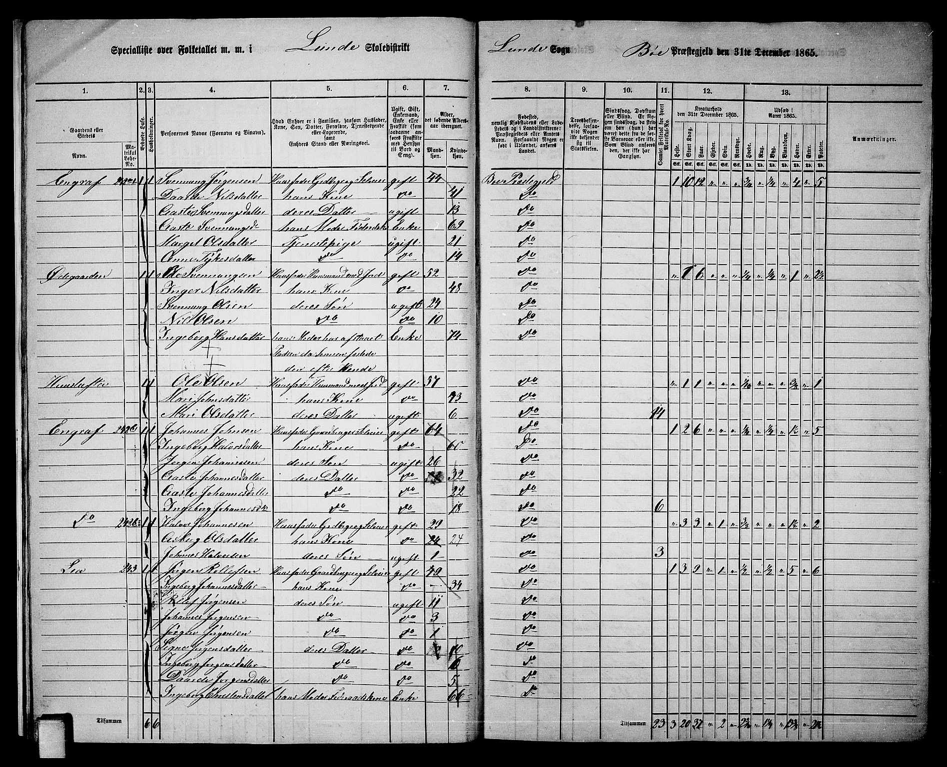 RA, 1865 census for Bø, 1865, p. 19