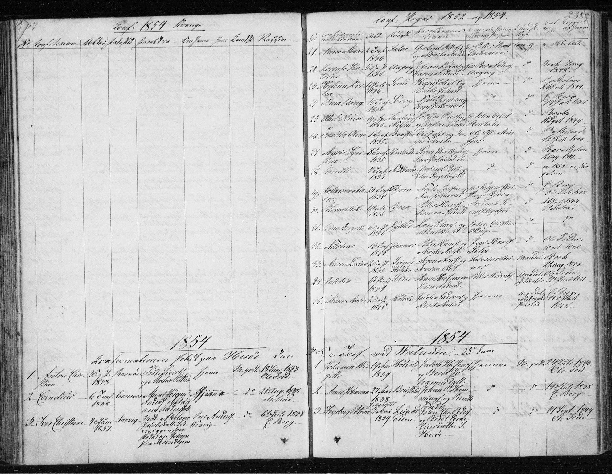 Ministerialprotokoller, klokkerbøker og fødselsregistre - Nordland, AV/SAT-A-1459/834/L0511: Parish register (copy) no. 834C02, 1848-1862, p. 237-238