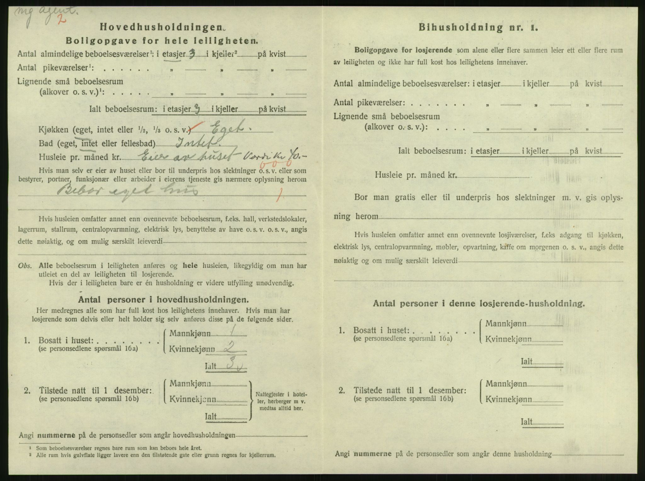 SAT, 1920 census for Steinkjer, 1920, p. 1365