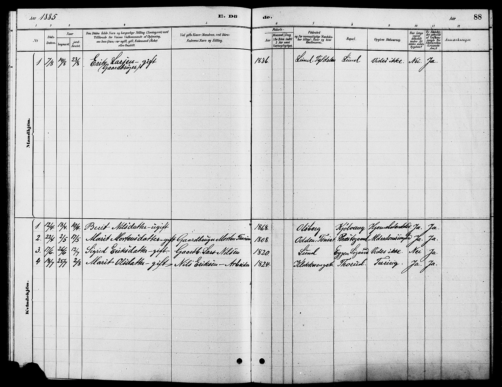 Tynset prestekontor, SAH/PREST-058/H/Ha/Hab/L0007: Parish register (copy) no. 7, 1880-1901, p. 88