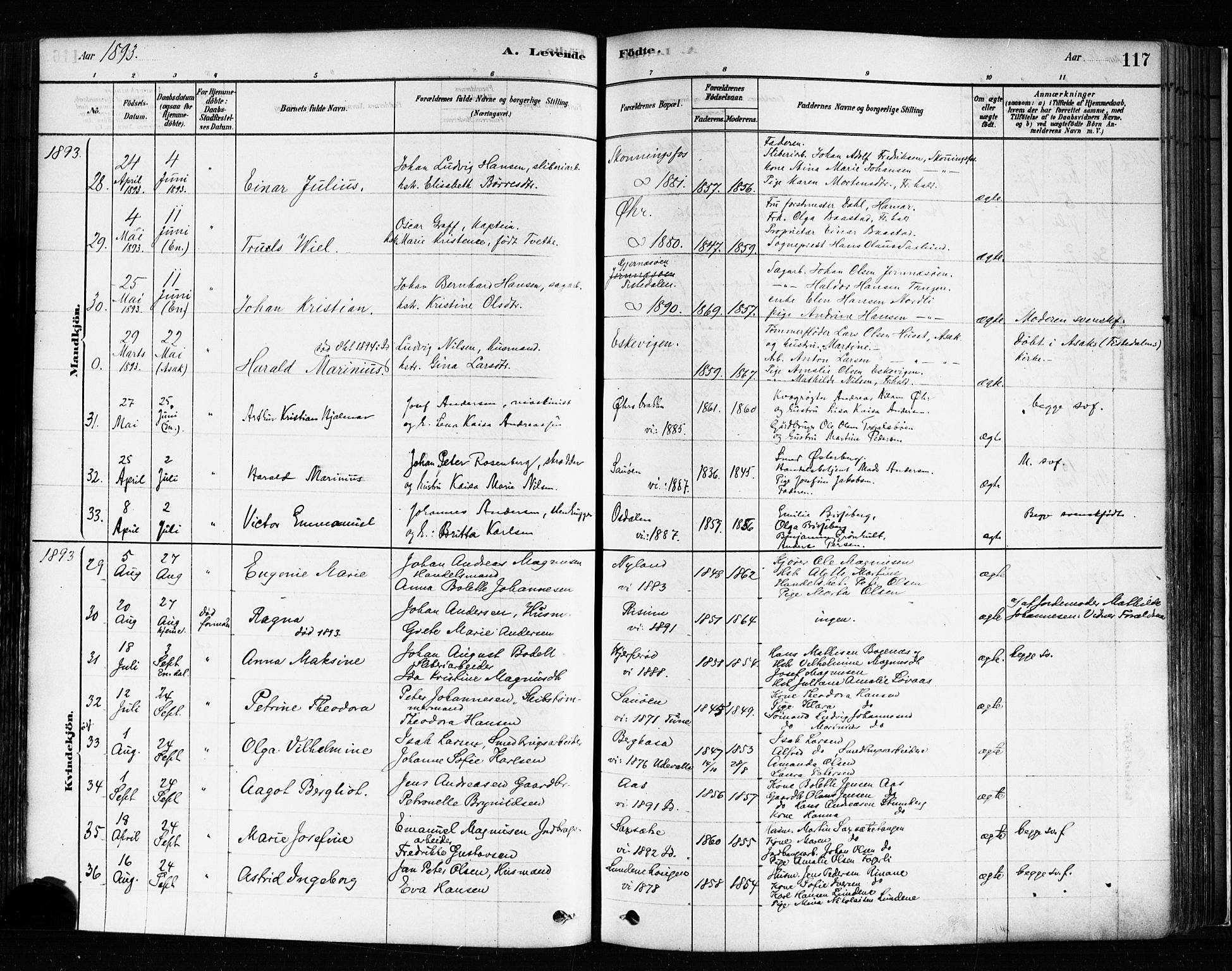 Idd prestekontor Kirkebøker, AV/SAO-A-10911/F/Fc/L0006a: Parish register (official) no. III 6A, 1878-1903, p. 117