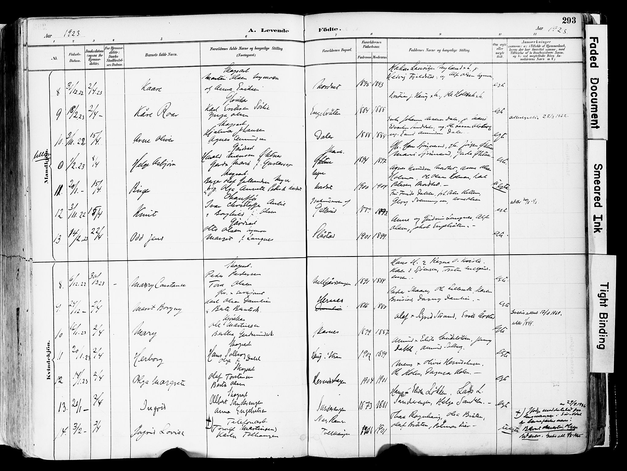 Sør-Odal prestekontor, AV/SAH-PREST-030/H/Ha/Haa/L0006: Parish register (official) no. 6, 1886-1931, p. 293