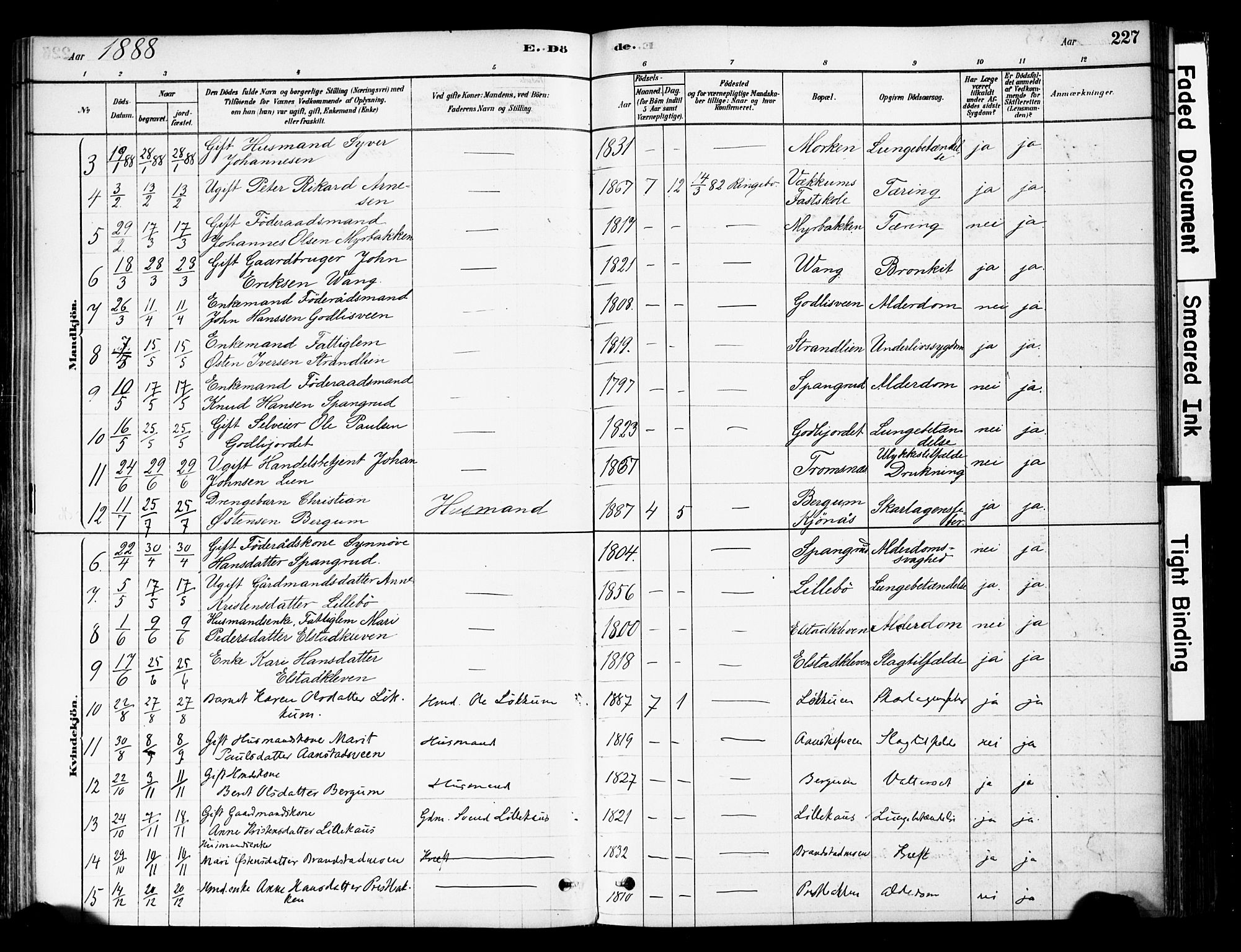 Ringebu prestekontor, SAH/PREST-082/H/Ha/Haa/L0008: Parish register (official) no. 8, 1878-1898, p. 227