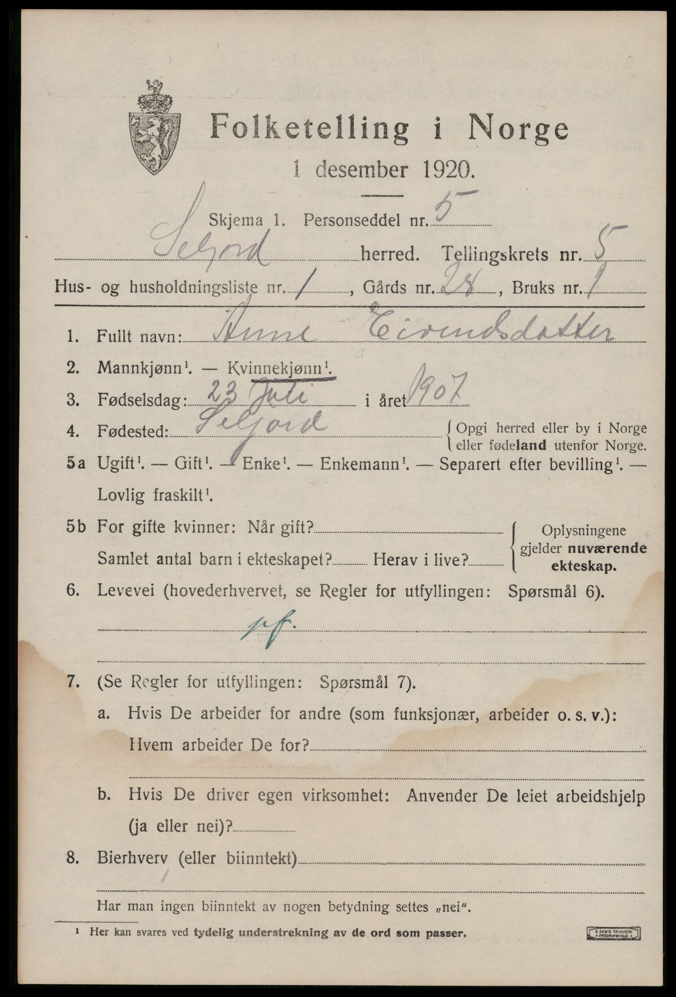 SAKO, 1920 census for Seljord, 1920, p. 2384